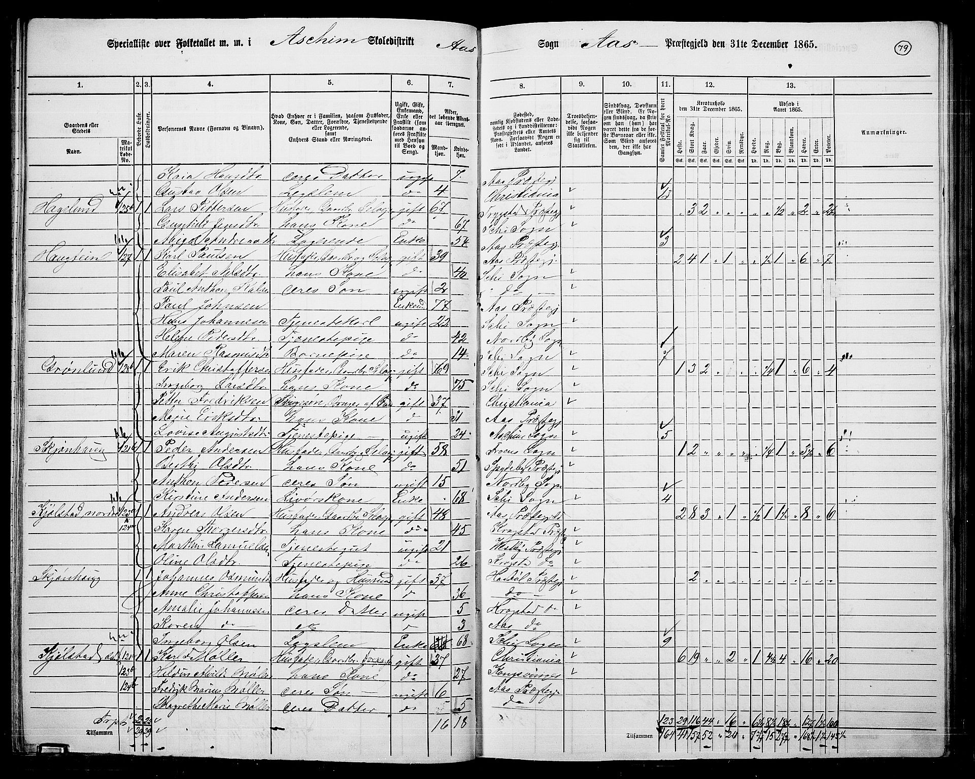 RA, 1865 census for Ås, 1865, p. 69