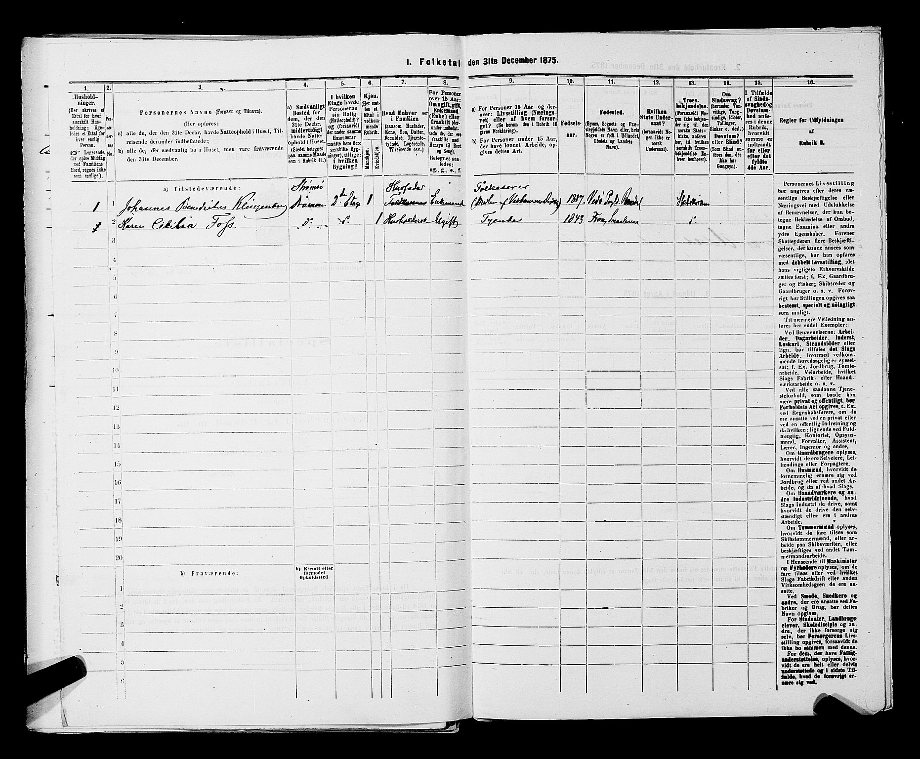 SAKO, 1875 census for 0602 Drammen, 1875, p. 2844