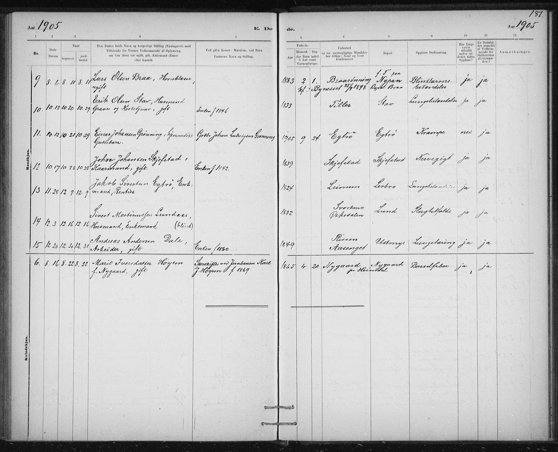 Ministerialprotokoller, klokkerbøker og fødselsregistre - Sør-Trøndelag, SAT/A-1456/613/L0392: Parish register (official) no. 613A01, 1887-1906, p. 181