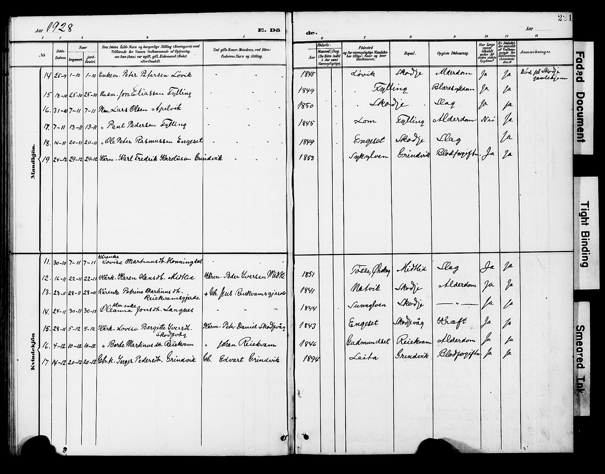 Ministerialprotokoller, klokkerbøker og fødselsregistre - Møre og Romsdal, AV/SAT-A-1454/524/L0366: Parish register (copy) no. 524C07, 1900-1931, p. 221