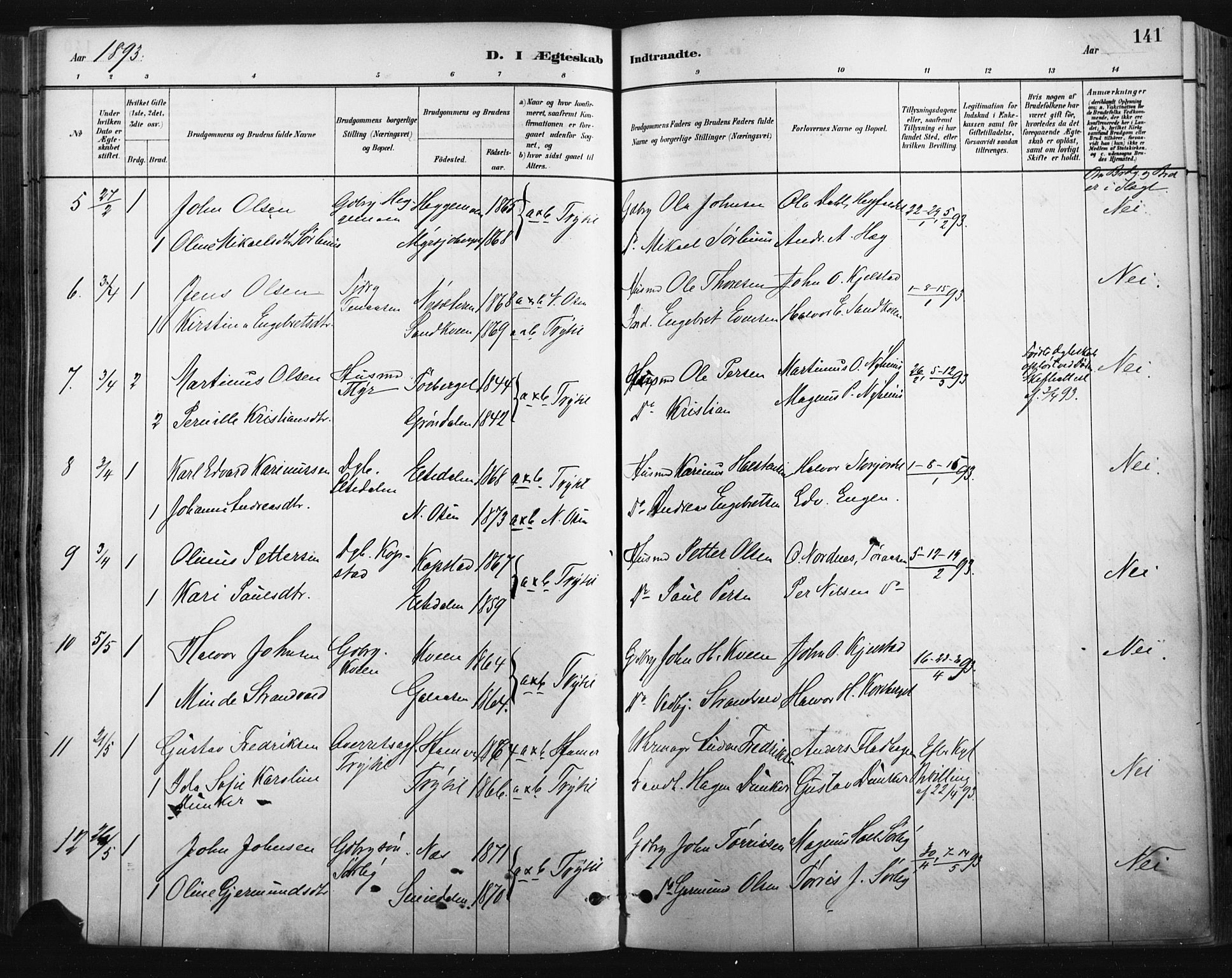 Trysil prestekontor, SAH/PREST-046/H/Ha/Haa/L0009: Parish register (official) no. 9, 1881-1897, p. 141