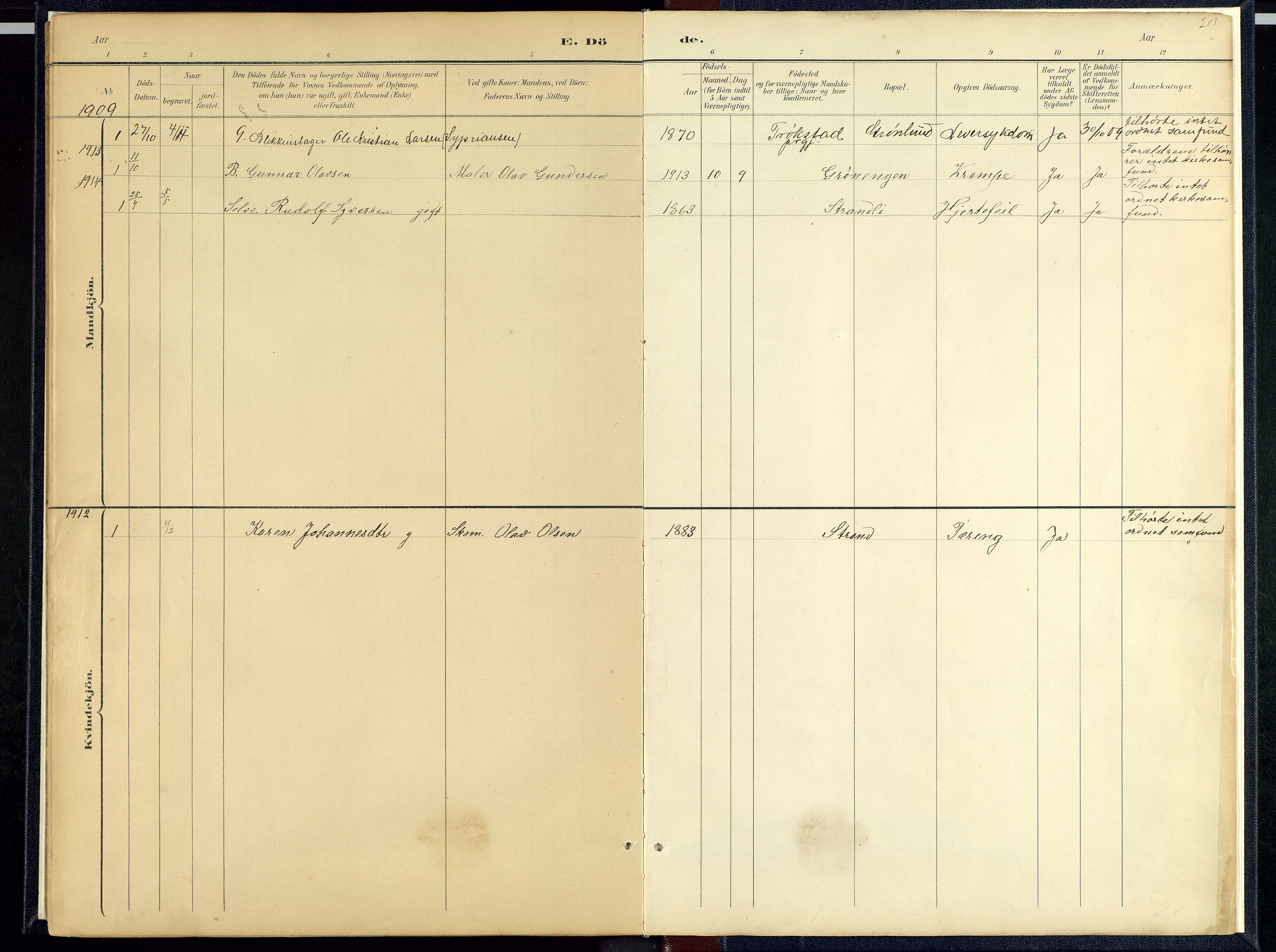 Hof prestekontor, SAH/PREST-038/H/Ha/Hab/L0001: Parish register (copy) no. 1, 1895-1914, p. 203