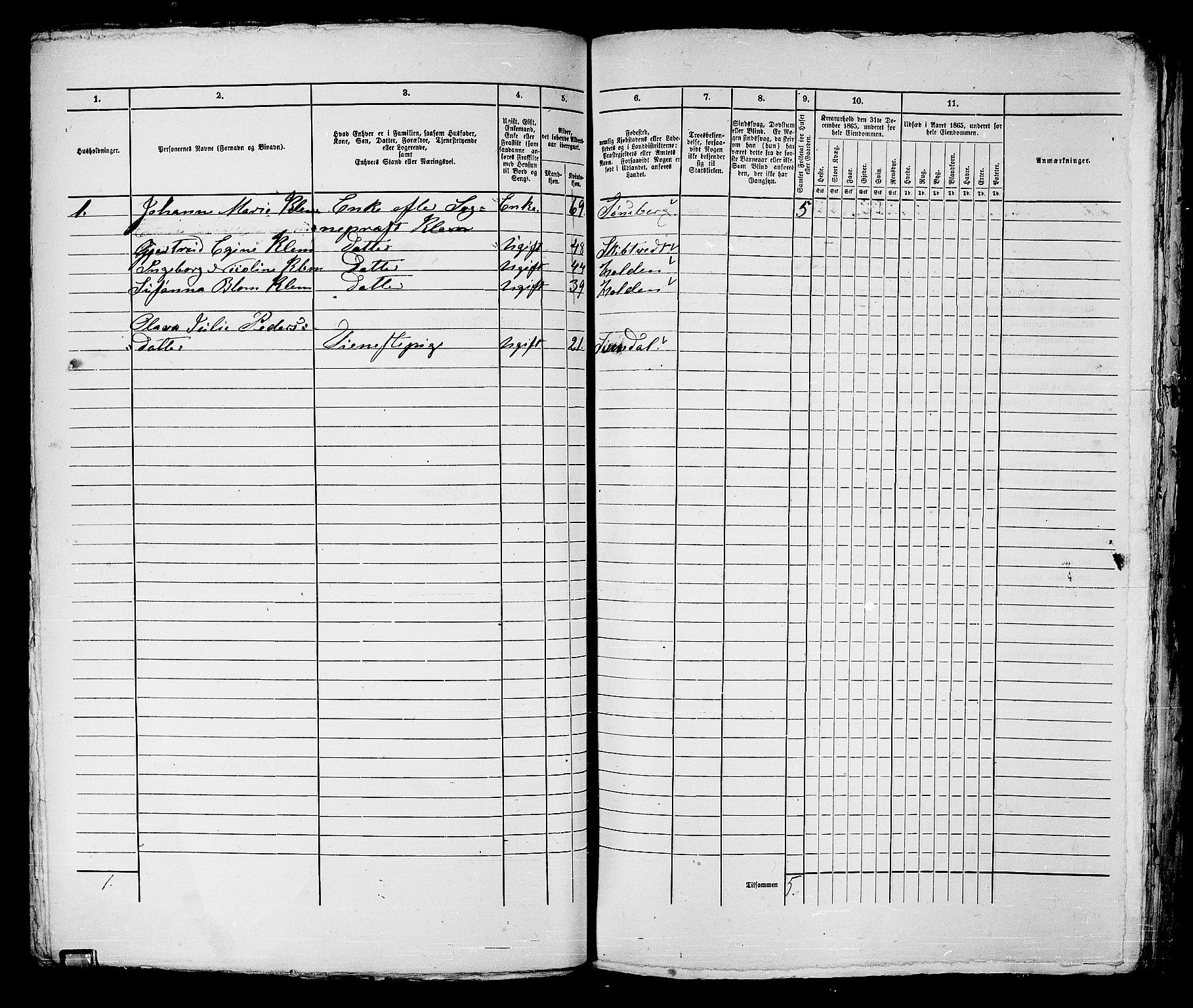 RA, 1865 census for Strømsø in Drammen, 1865, p. 222