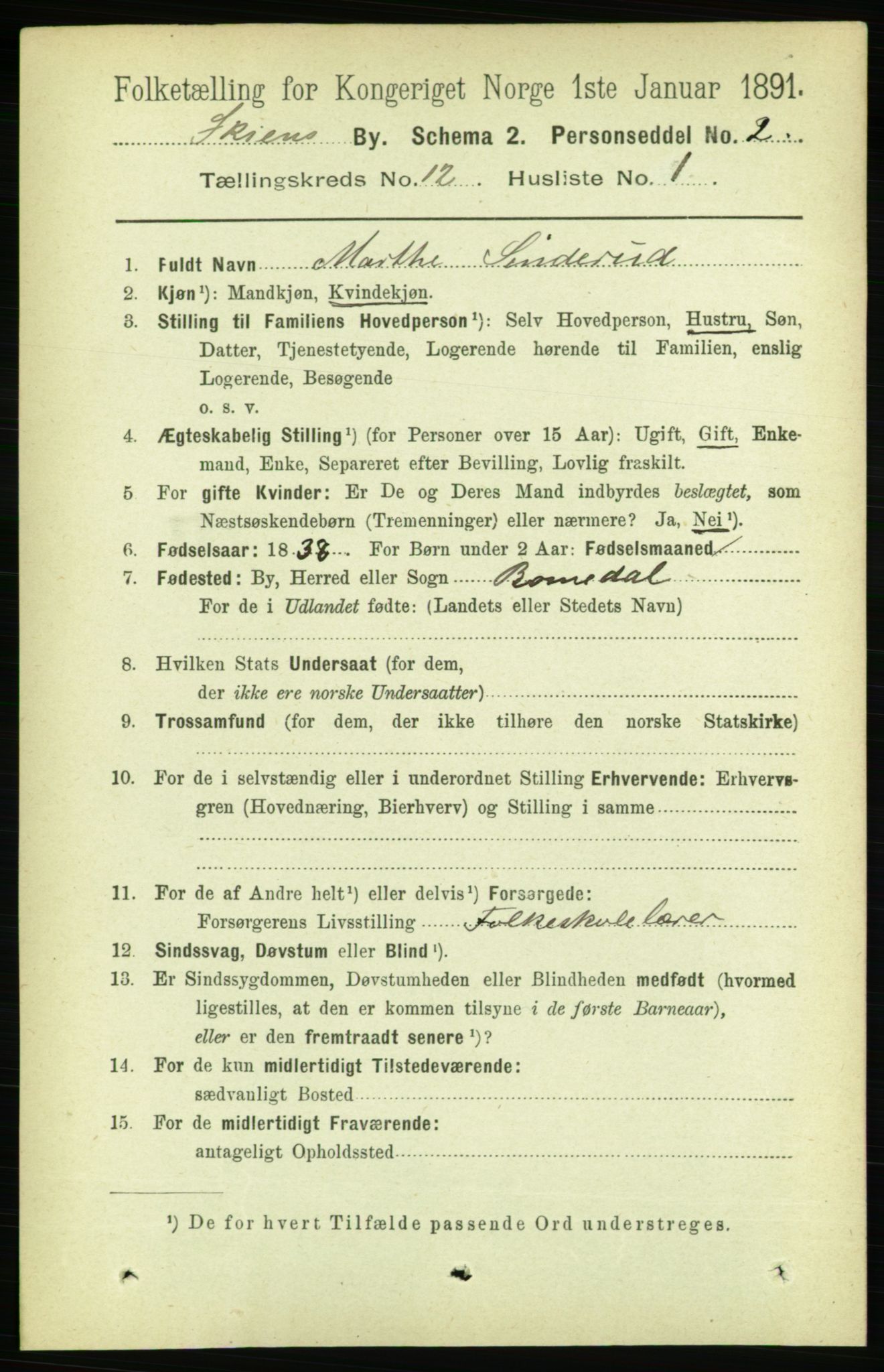 RA, 1891 census for 0806 Skien, 1891, p. 3958