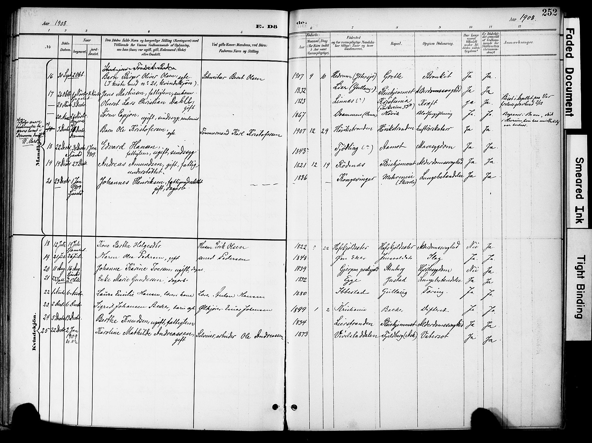 Lier kirkebøker, AV/SAKO-A-230/F/Fa/L0017: Parish register (official) no. I 17, 1901-1908, p. 252