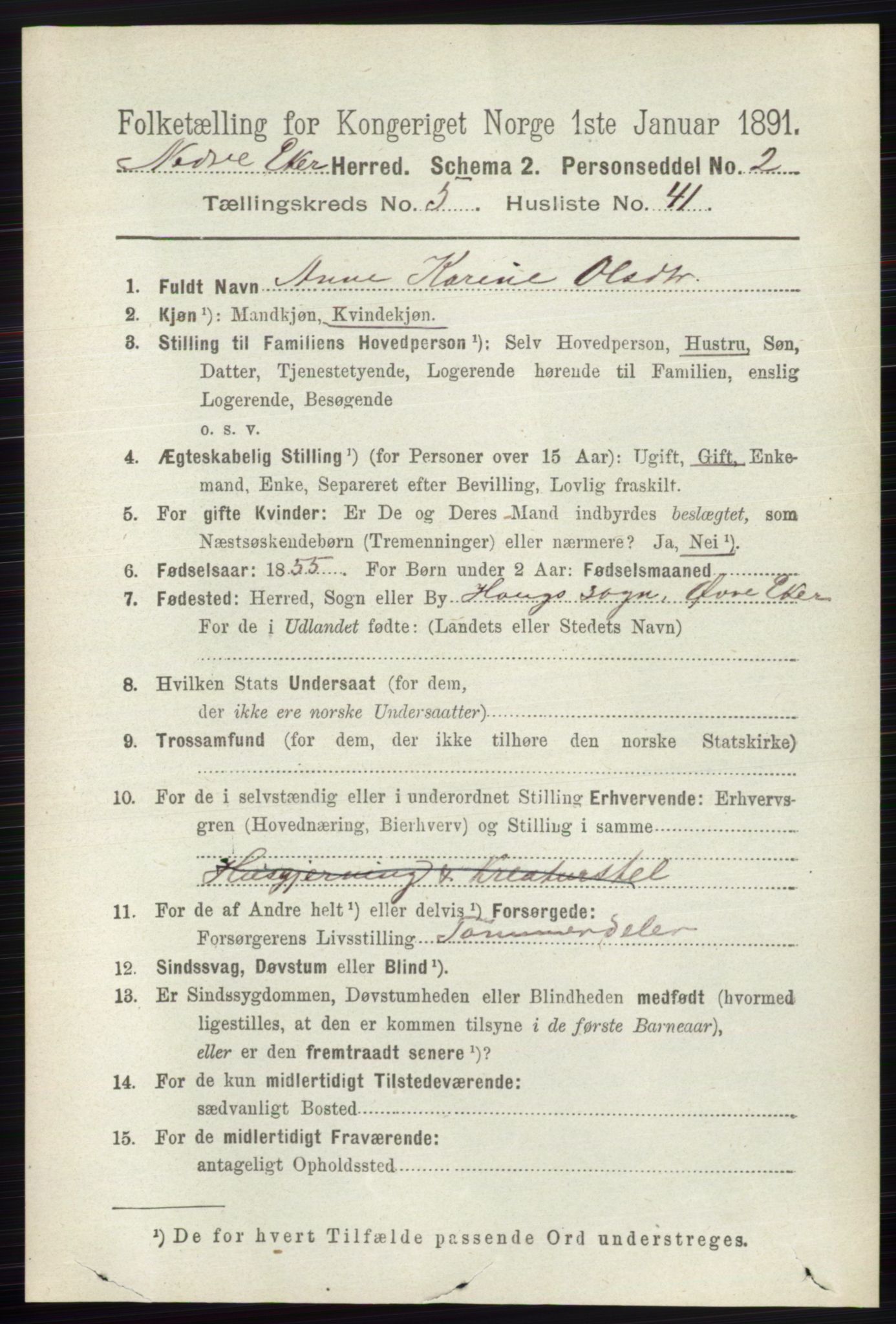 RA, 1891 census for 0625 Nedre Eiker, 1891, p. 2562