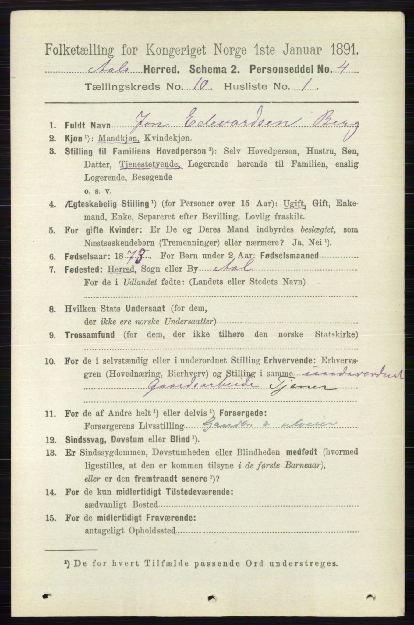 RA, 1891 census for 0619 Ål, 1891, p. 2696