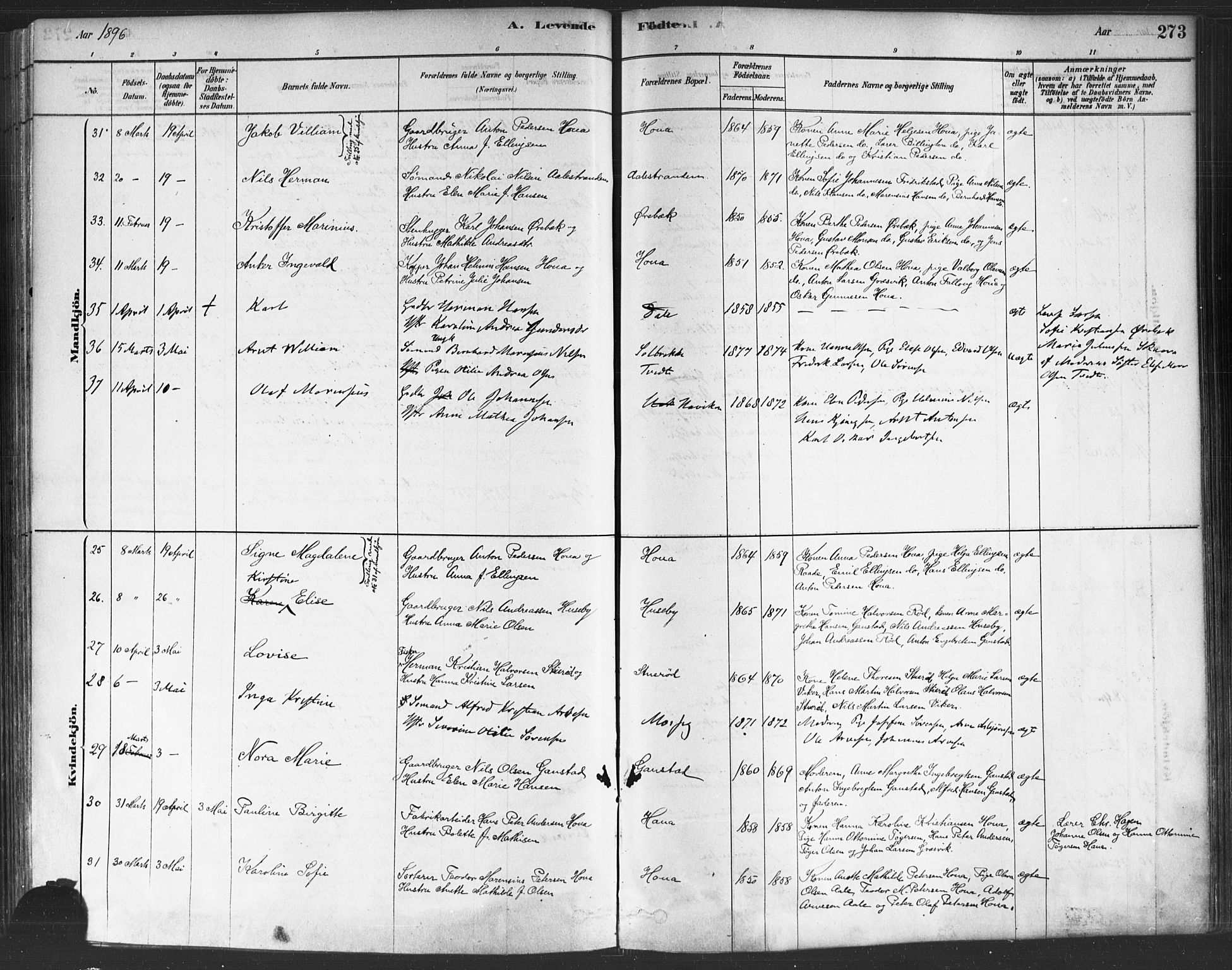 Onsøy prestekontor Kirkebøker, AV/SAO-A-10914/F/Fa/L0005: Parish register (official) no. I 5, 1878-1898, p. 273