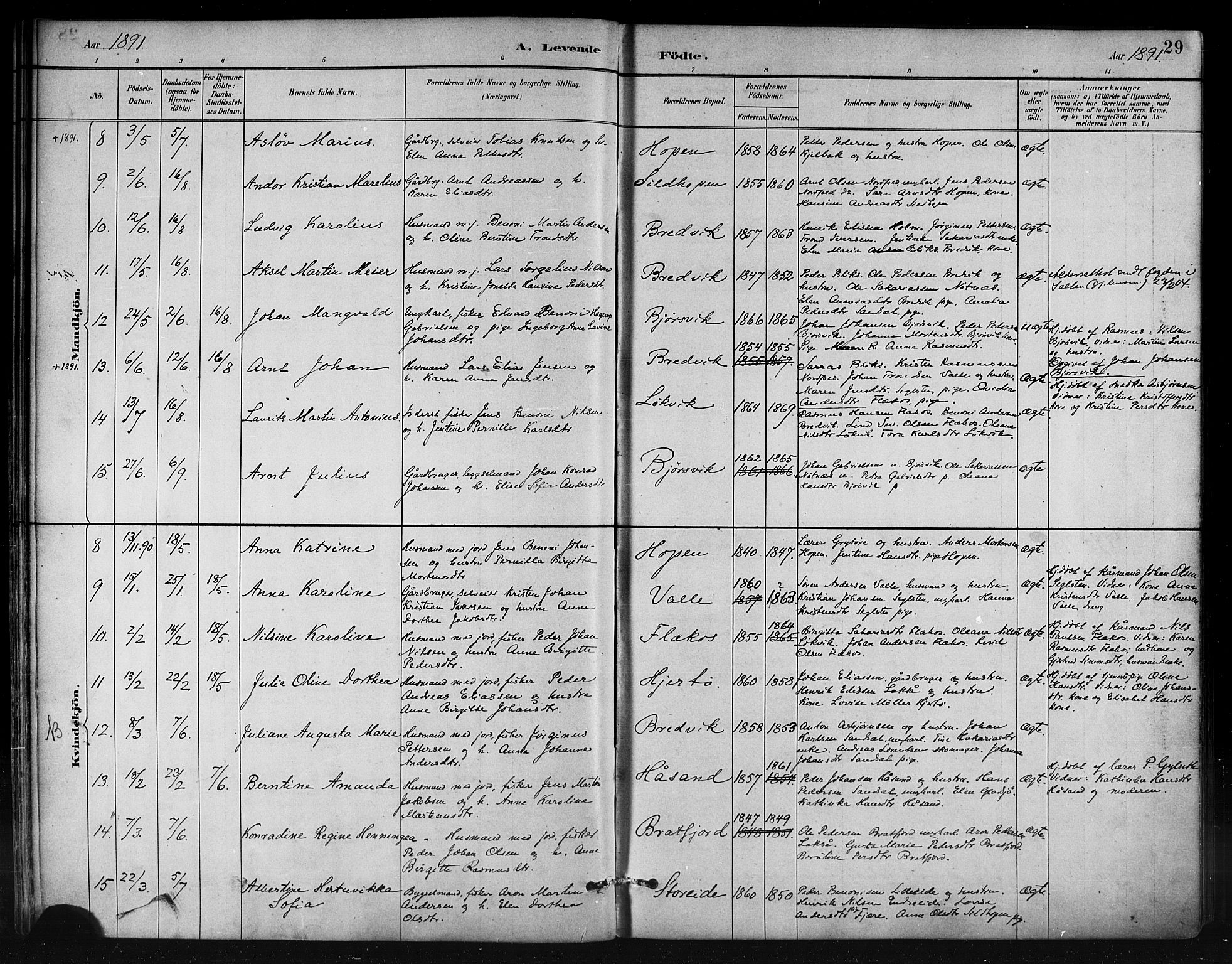 Ministerialprotokoller, klokkerbøker og fødselsregistre - Nordland, AV/SAT-A-1459/858/L0831: Parish register (official) no. 858A01, 1884-1902, p. 29