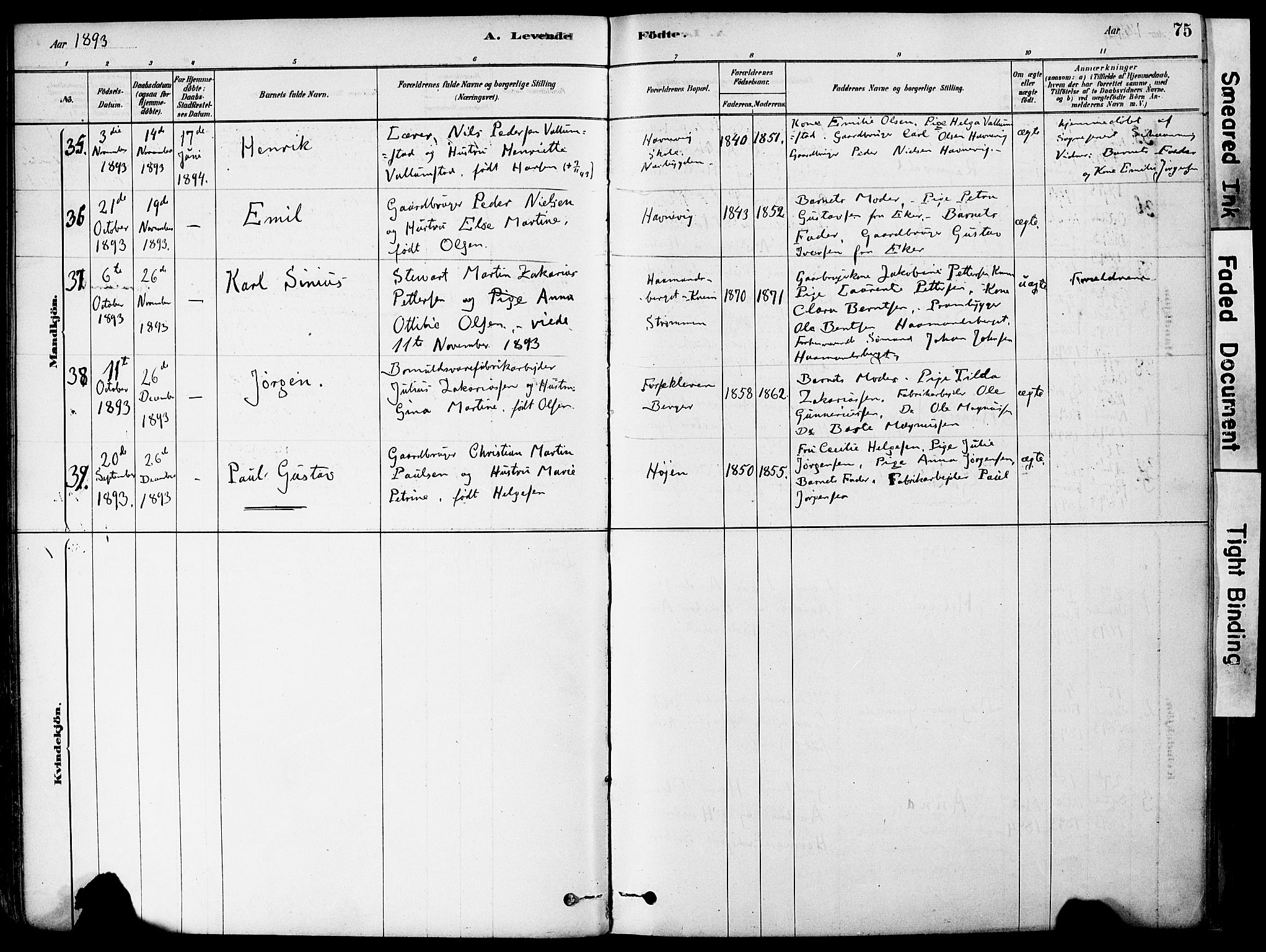 Strømm kirkebøker, AV/SAKO-A-322/F/Fa/L0004: Parish register (official) no. I 4, 1878-1899, p. 75