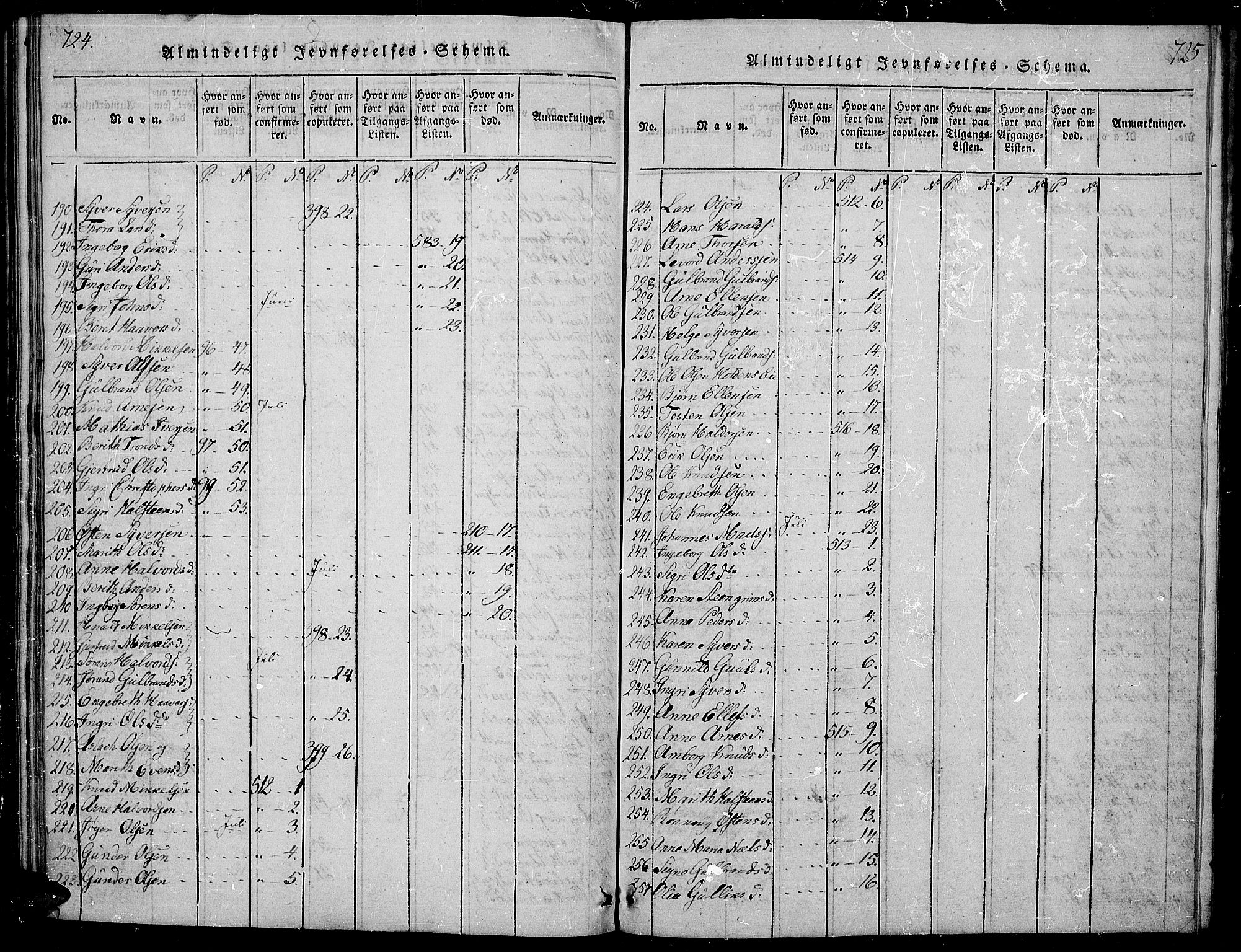 Sør-Aurdal prestekontor, AV/SAH-PREST-128/H/Ha/Hab/L0001: Parish register (copy) no. 1, 1815-1826, p. 724-725