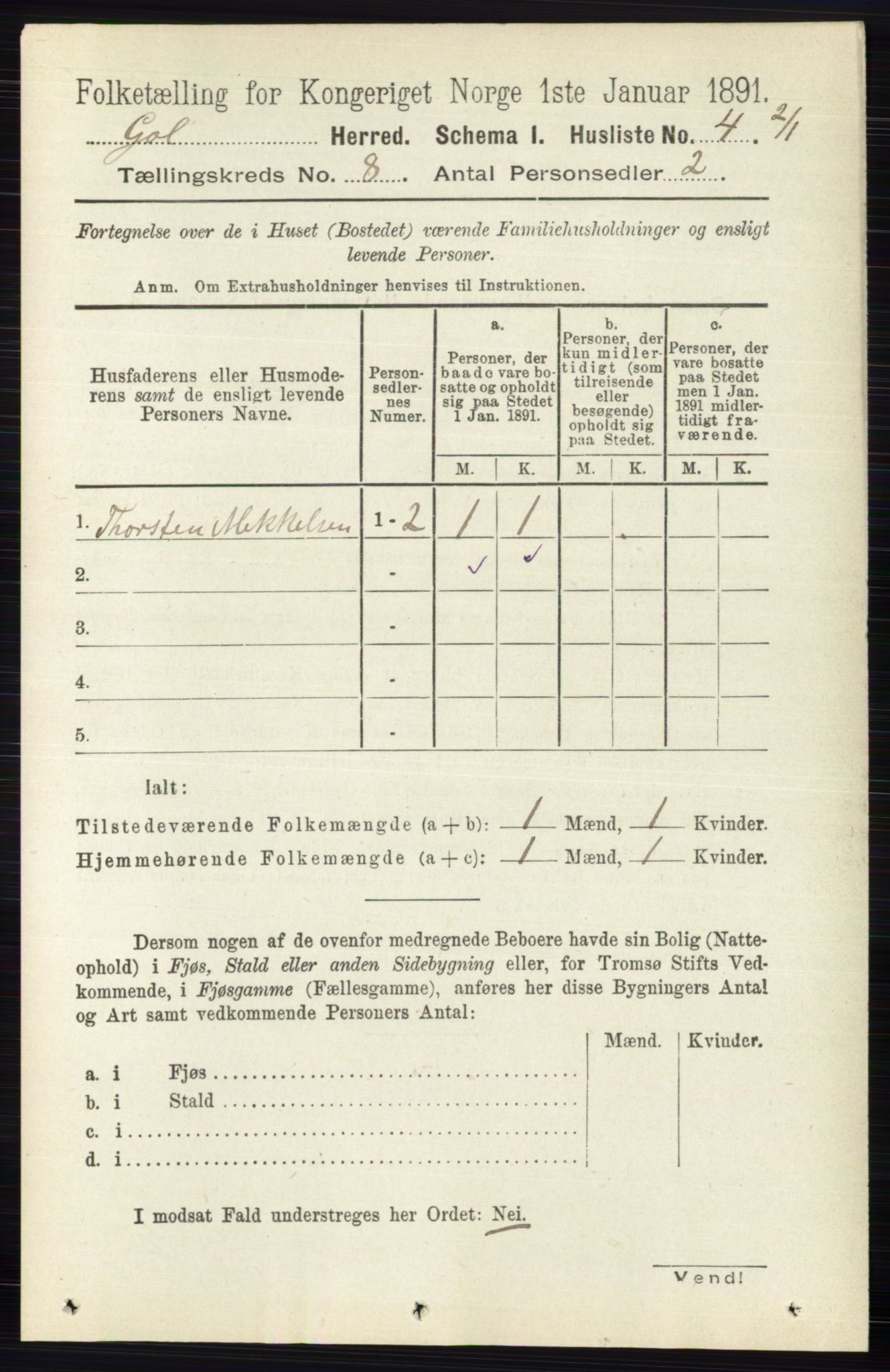 RA, 1891 census for 0617 Gol og Hemsedal, 1891, p. 2985