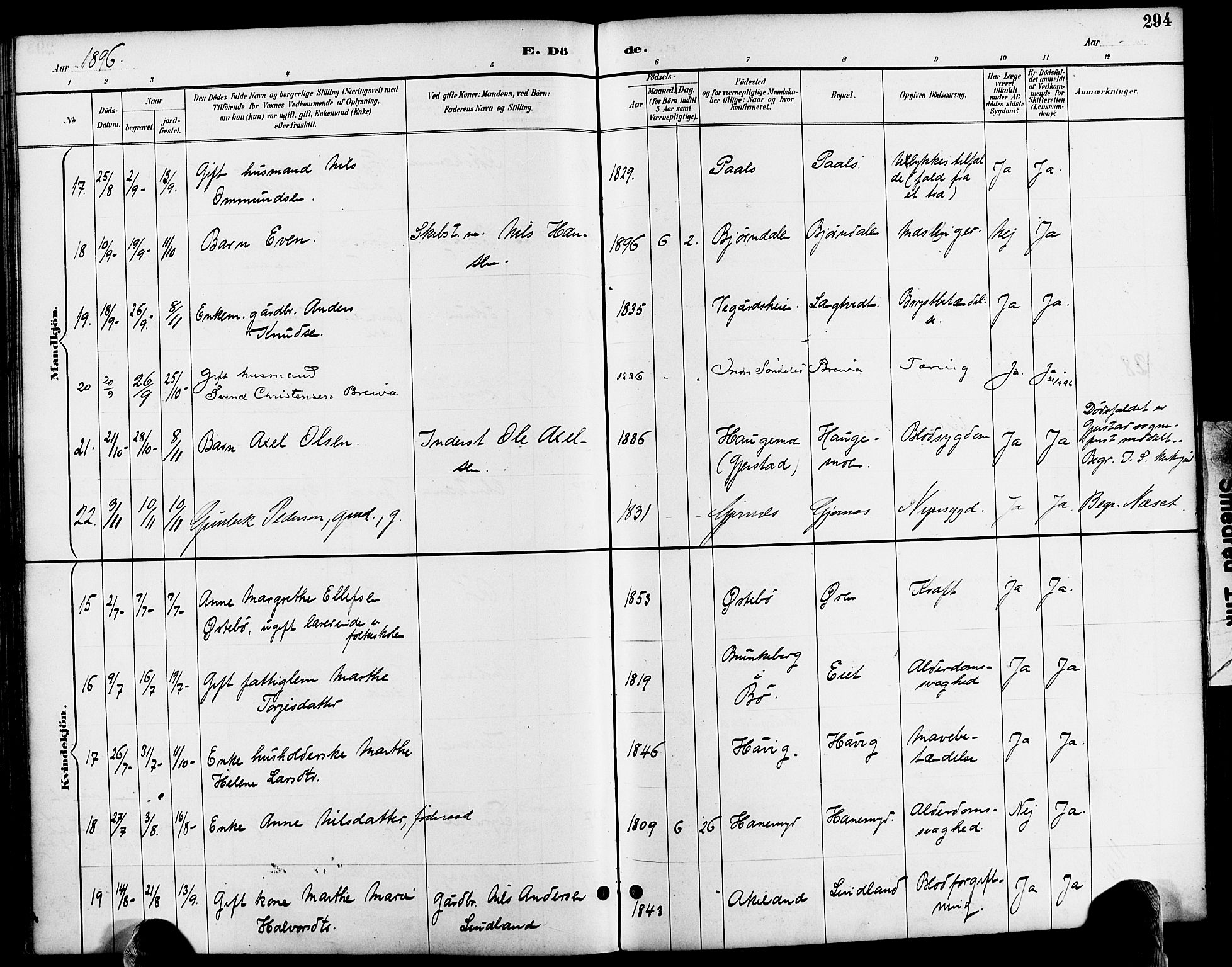 Søndeled sokneprestkontor, AV/SAK-1111-0038/F/Fa/L0005: Parish register (official) no. A 5, 1889-1899, p. 294