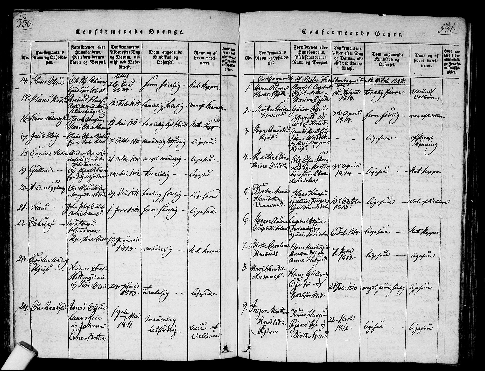 Nes prestekontor Kirkebøker, SAO/A-10410/G/Ga/L0001: Parish register (copy) no. I 1, 1815-1835, p. 530-531