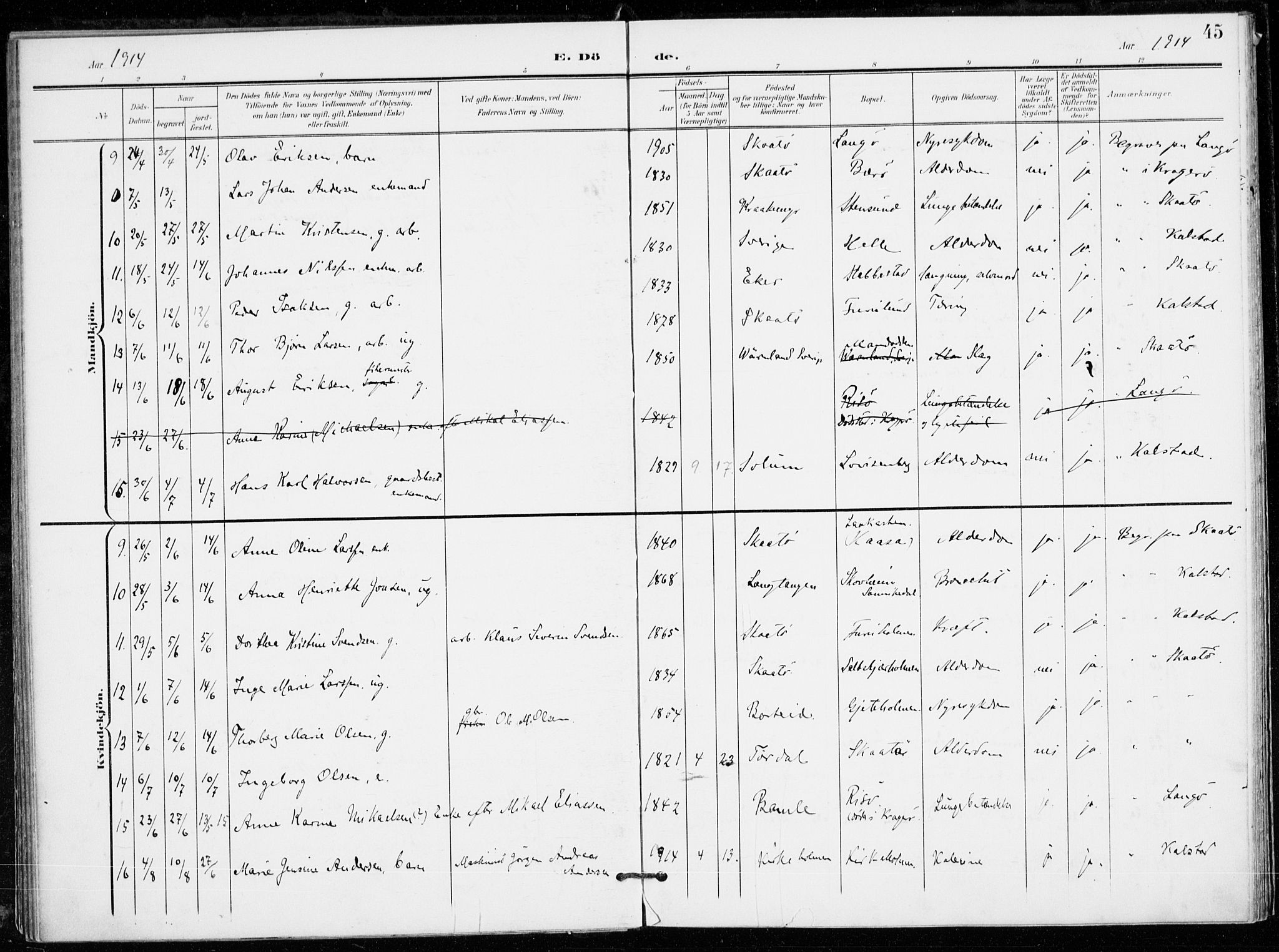 Skåtøy kirkebøker, AV/SAKO-A-304/F/Fa/L0005: Parish register (official) no. I 5, 1901-1923, p. 45