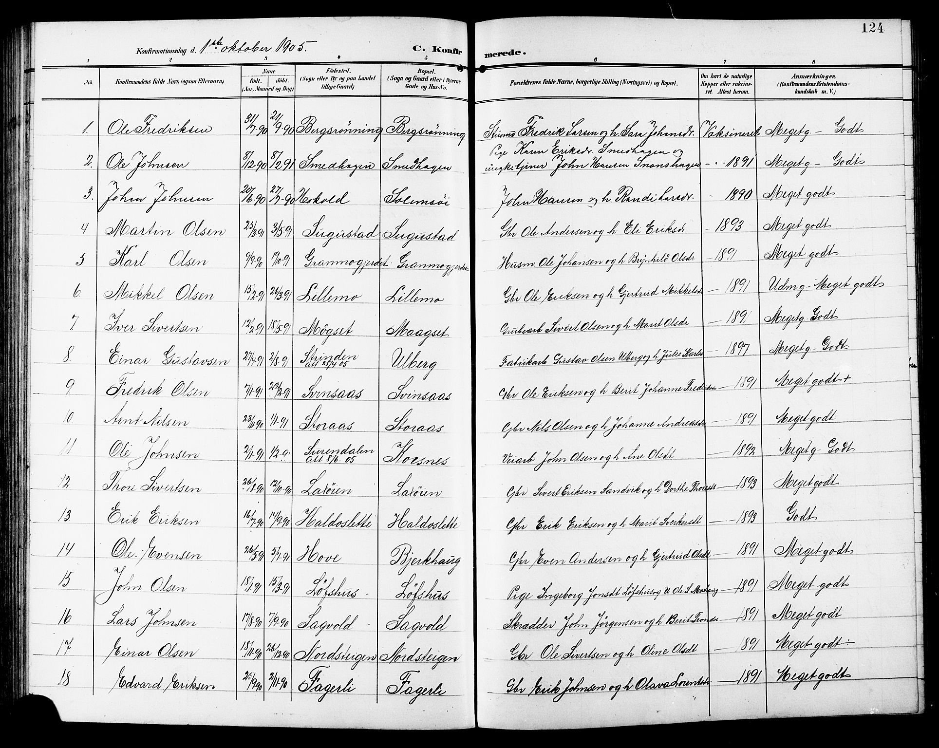 Ministerialprotokoller, klokkerbøker og fødselsregistre - Sør-Trøndelag, SAT/A-1456/672/L0864: Parish register (copy) no. 672C03, 1902-1914, p. 124