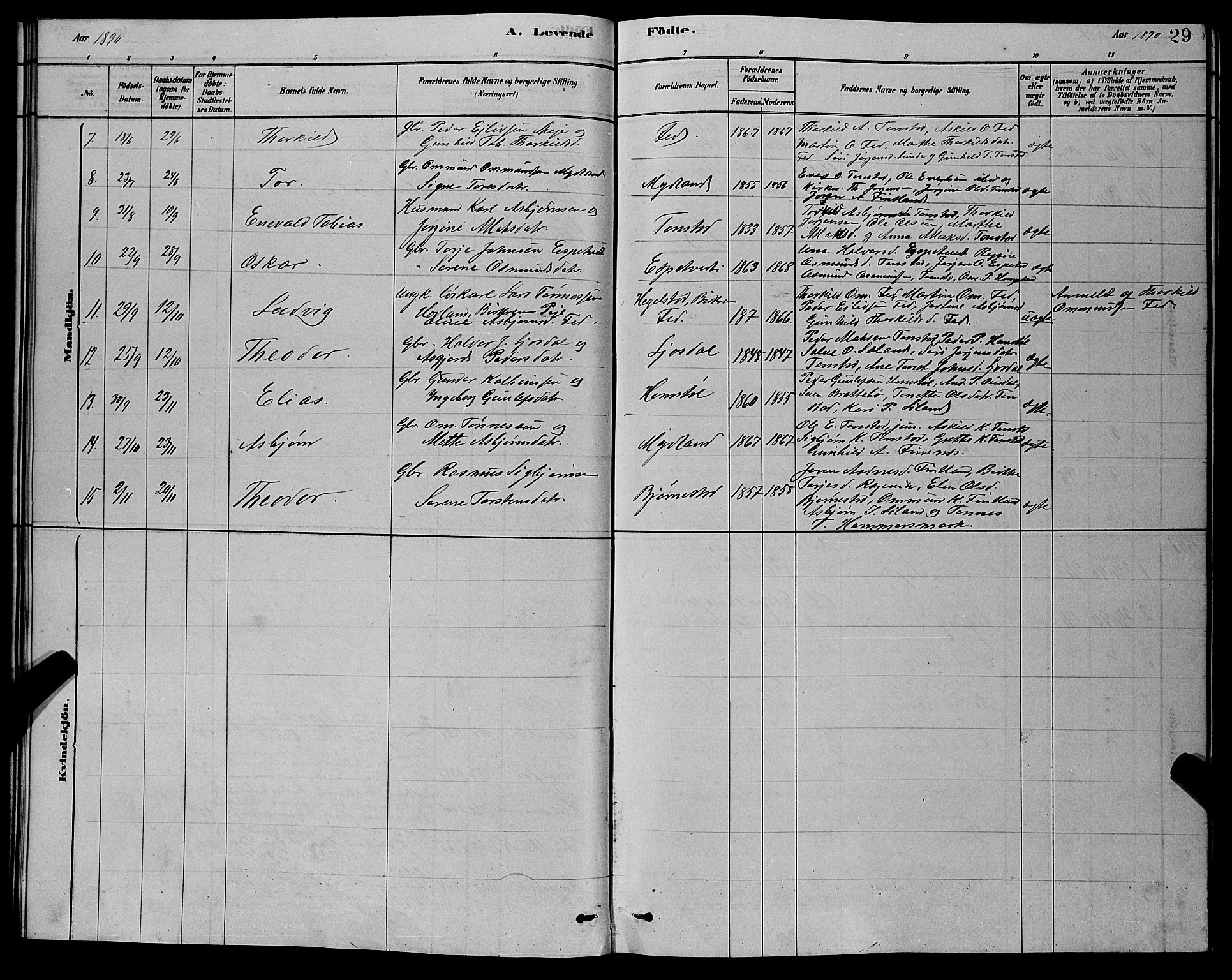 Sirdal sokneprestkontor, SAK/1111-0036/F/Fb/Fbb/L0003: Parish register (copy) no. B 3, 1878-1894, p. 29