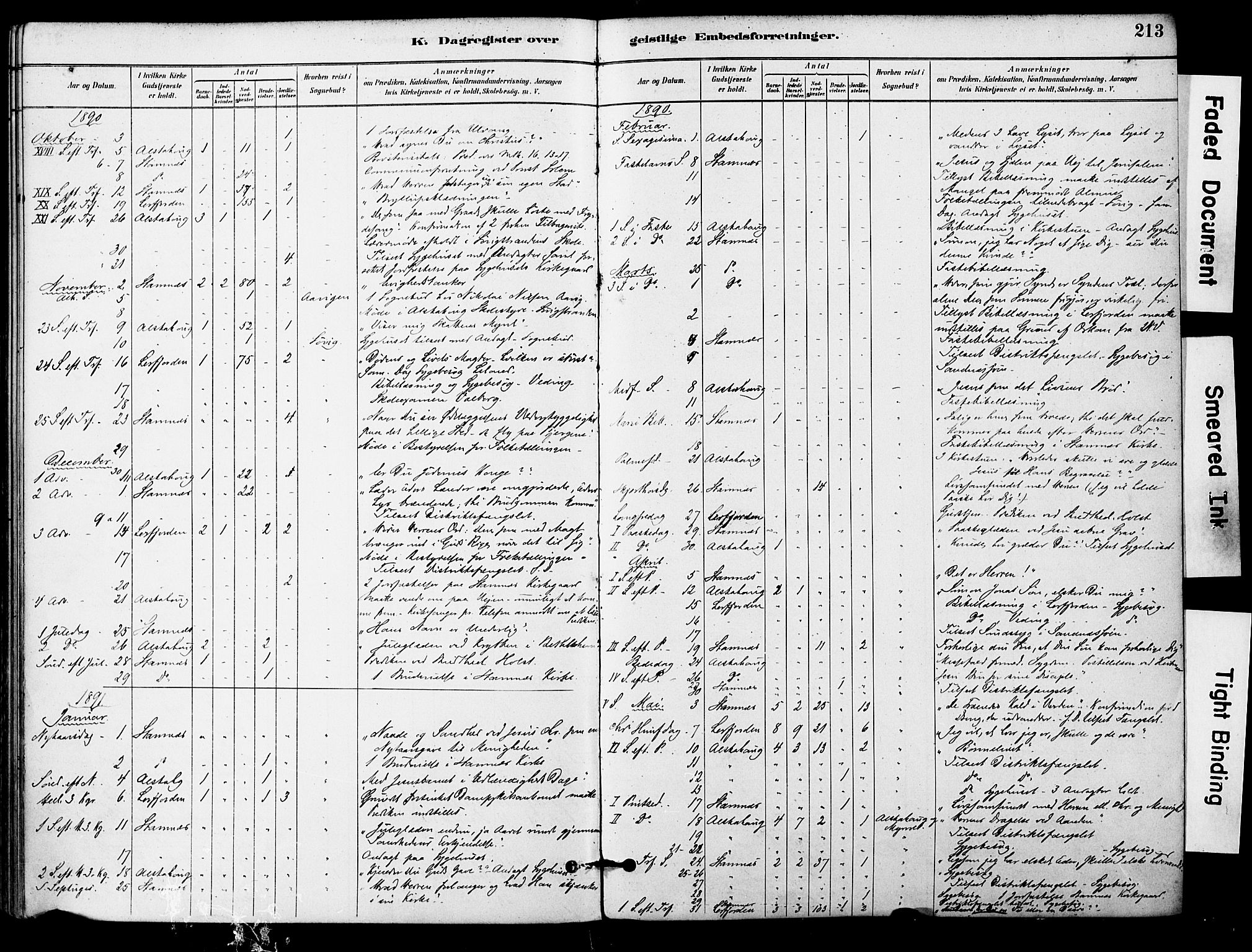 Ministerialprotokoller, klokkerbøker og fødselsregistre - Nordland, AV/SAT-A-1459/830/L0450: Parish register (official) no. 830A14, 1879-1896, p. 213