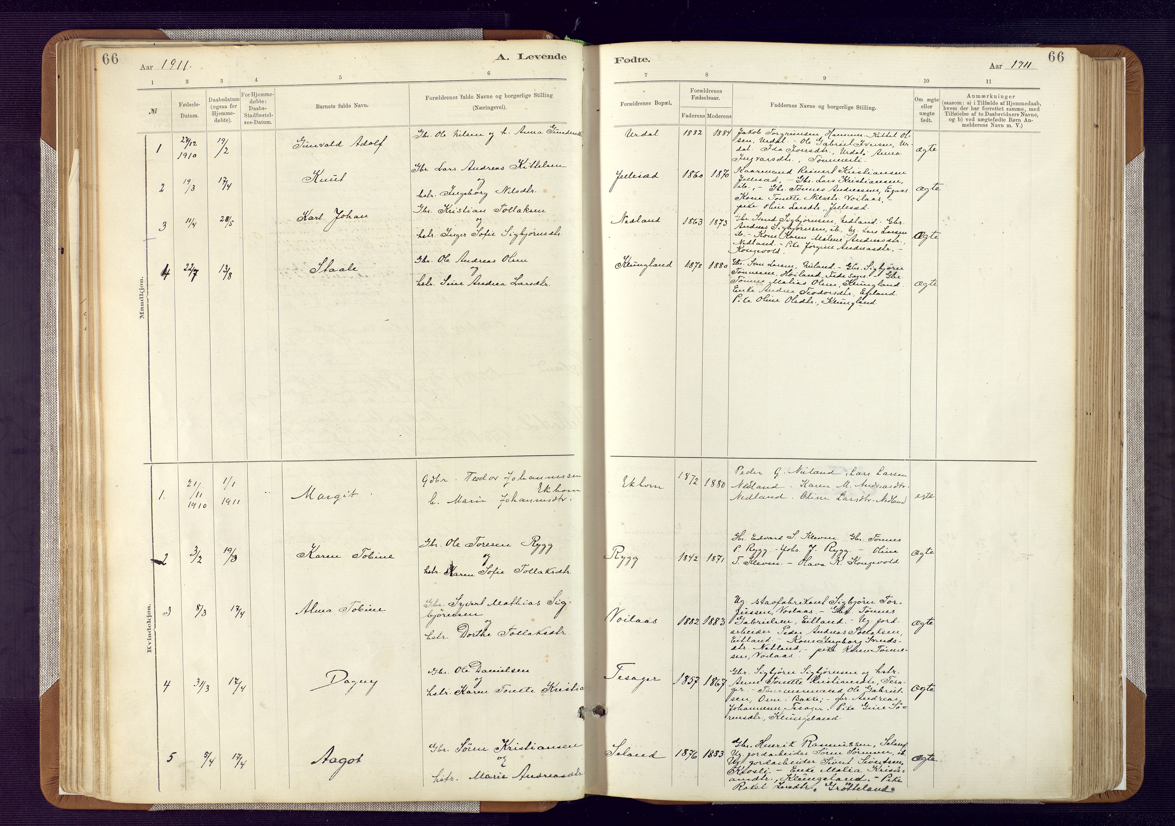 Bakke sokneprestkontor, SAK/1111-0002/F/Fa/Fab/L0003: Parish register (official) no. A 3, 1884-1921, p. 66