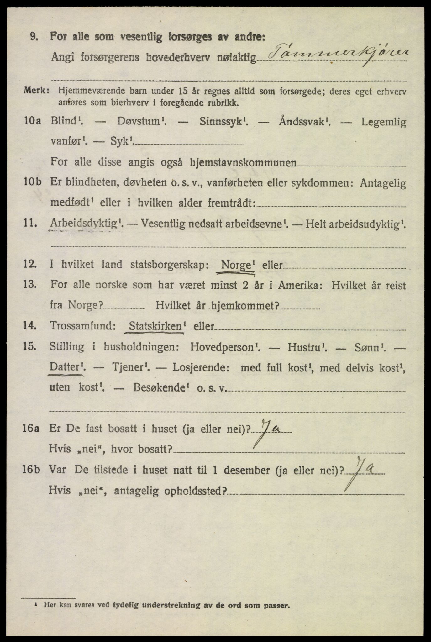 SAH, 1920 census for Trysil, 1920, p. 6242