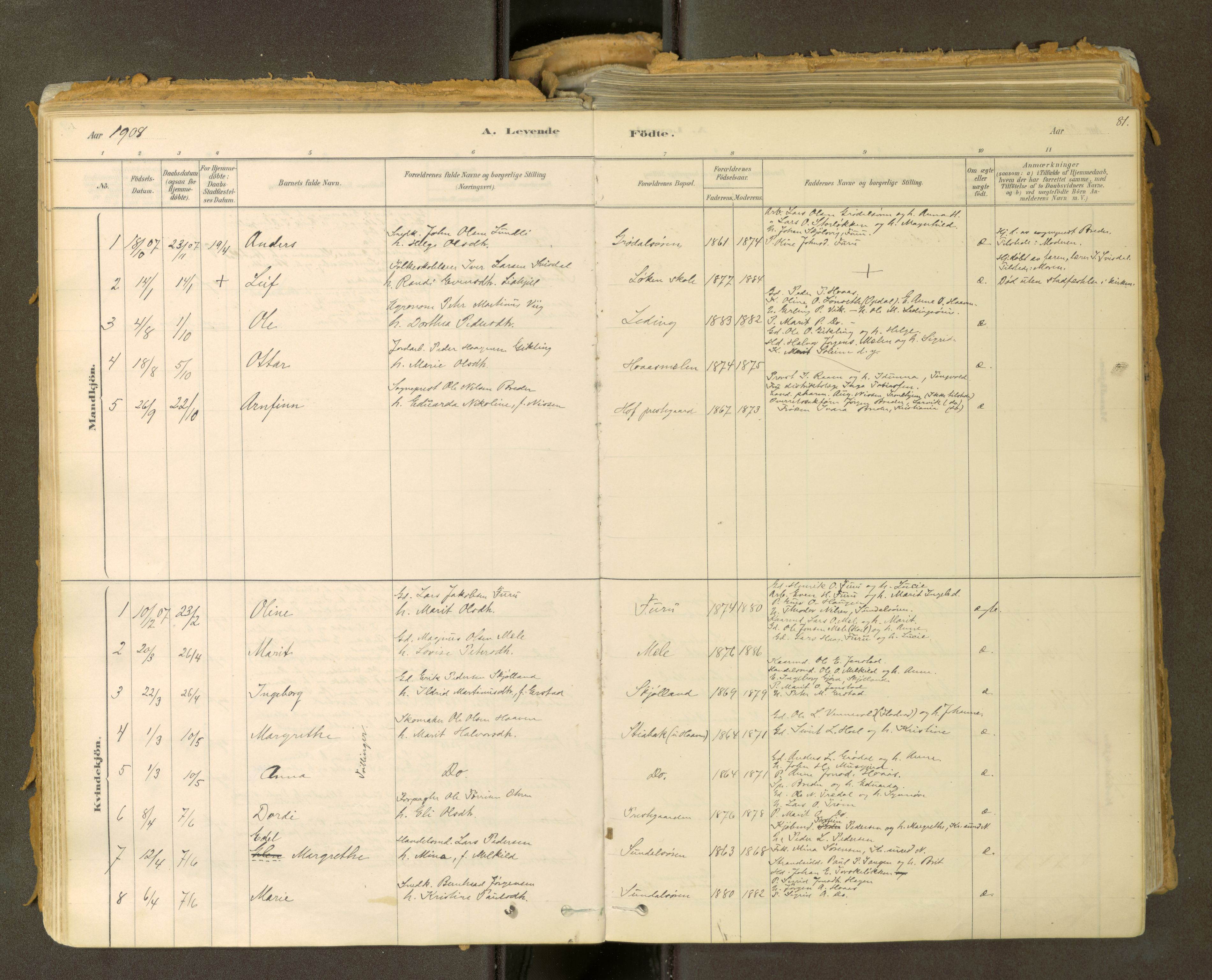 Sunndal sokneprestkontor, SAT/A-1085/1/I/I1/I1a: Parish register (official) no. 2, 1877-1914, p. 81