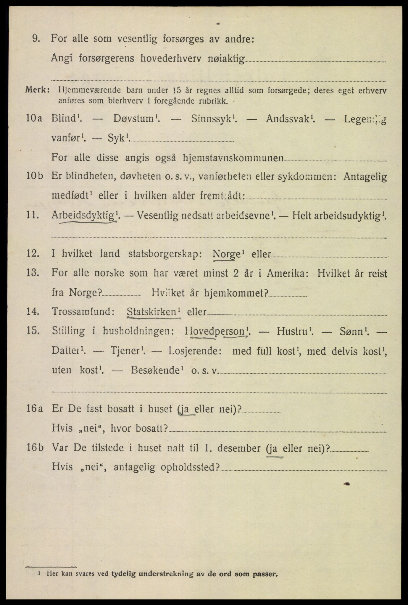 SAH, 1920 census for Vestre Slidre, 1920, p. 1539