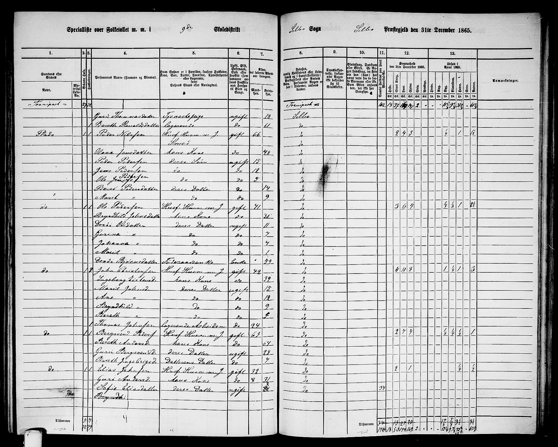 RA, 1865 census for Selbu, 1865, p. 162