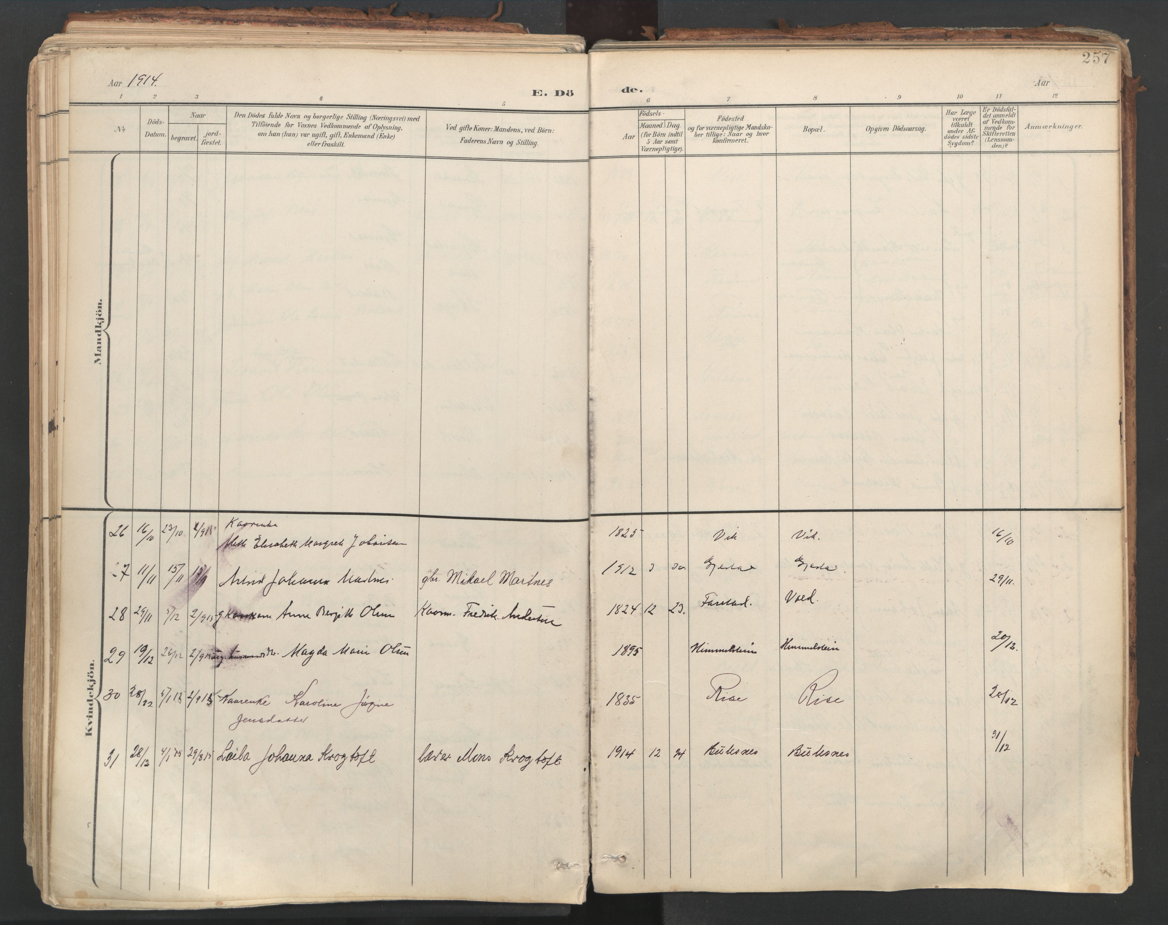 Ministerialprotokoller, klokkerbøker og fødselsregistre - Nordland, AV/SAT-A-1459/881/L1154: Parish register (official) no. 881A07, 1907-1918, p. 257