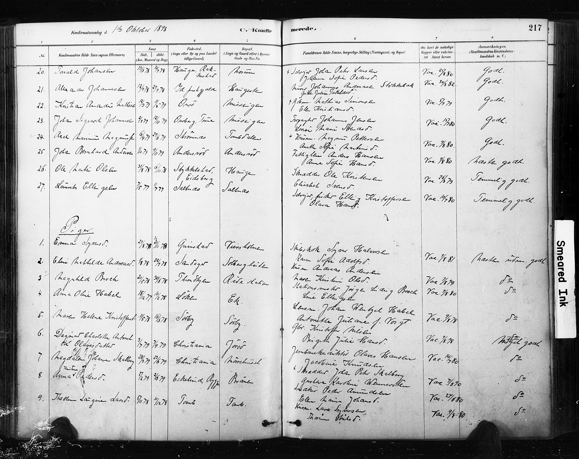 Råde prestekontor kirkebøker, AV/SAO-A-2009/F/Fa/L0007: Parish register (official) no. 7, 1878-1902, p. 217