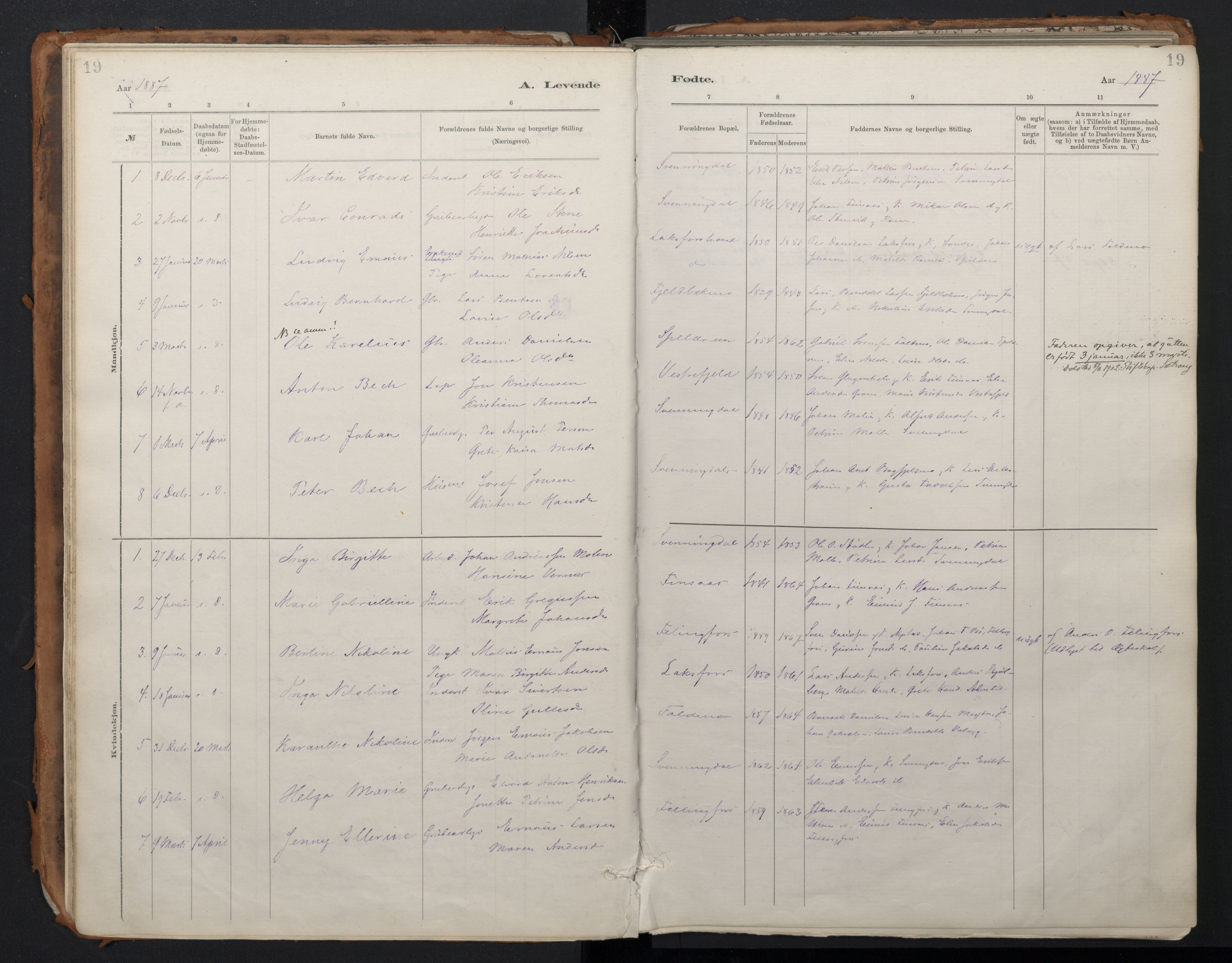 Ministerialprotokoller, klokkerbøker og fødselsregistre - Nordland, SAT/A-1459/824/L0338: Parish register (official) no. 824A01, 1880-1915, p. 19