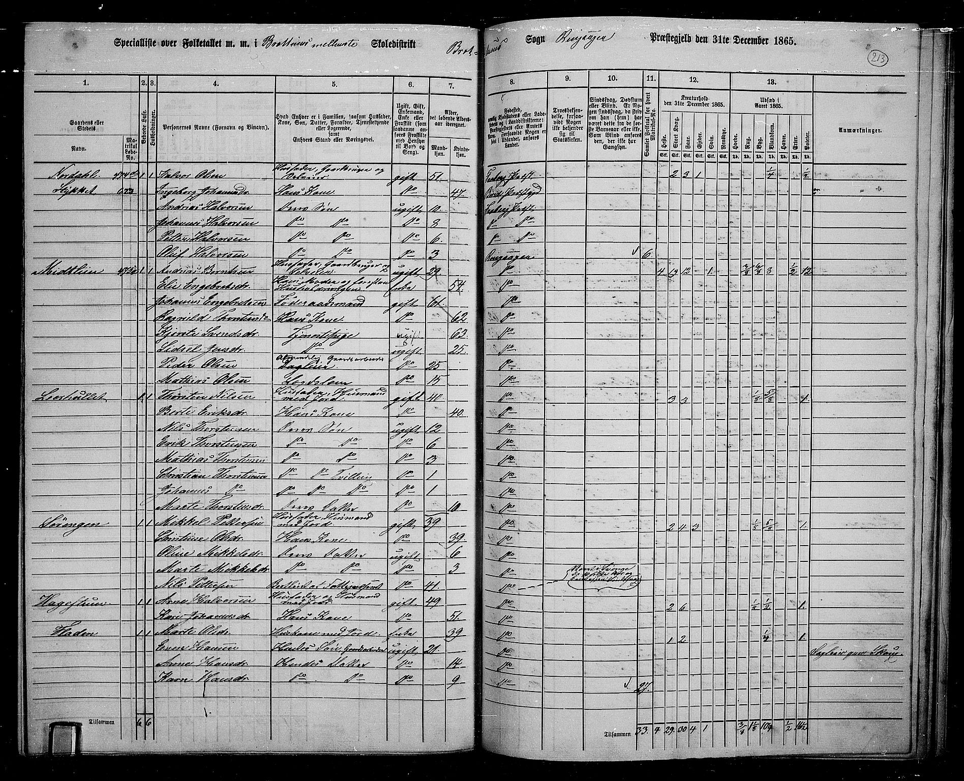 RA, 1865 census for Ringsaker, 1865, p. 452