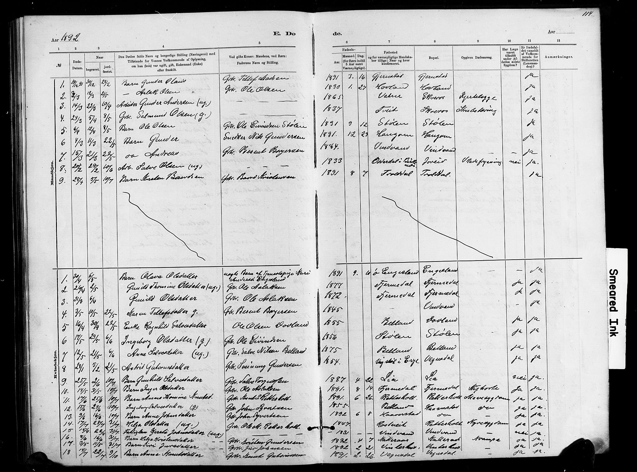 Herefoss sokneprestkontor, SAK/1111-0019/F/Fb/Fbb/L0002: Parish register (copy) no. B 2, 1879-1894, p. 114