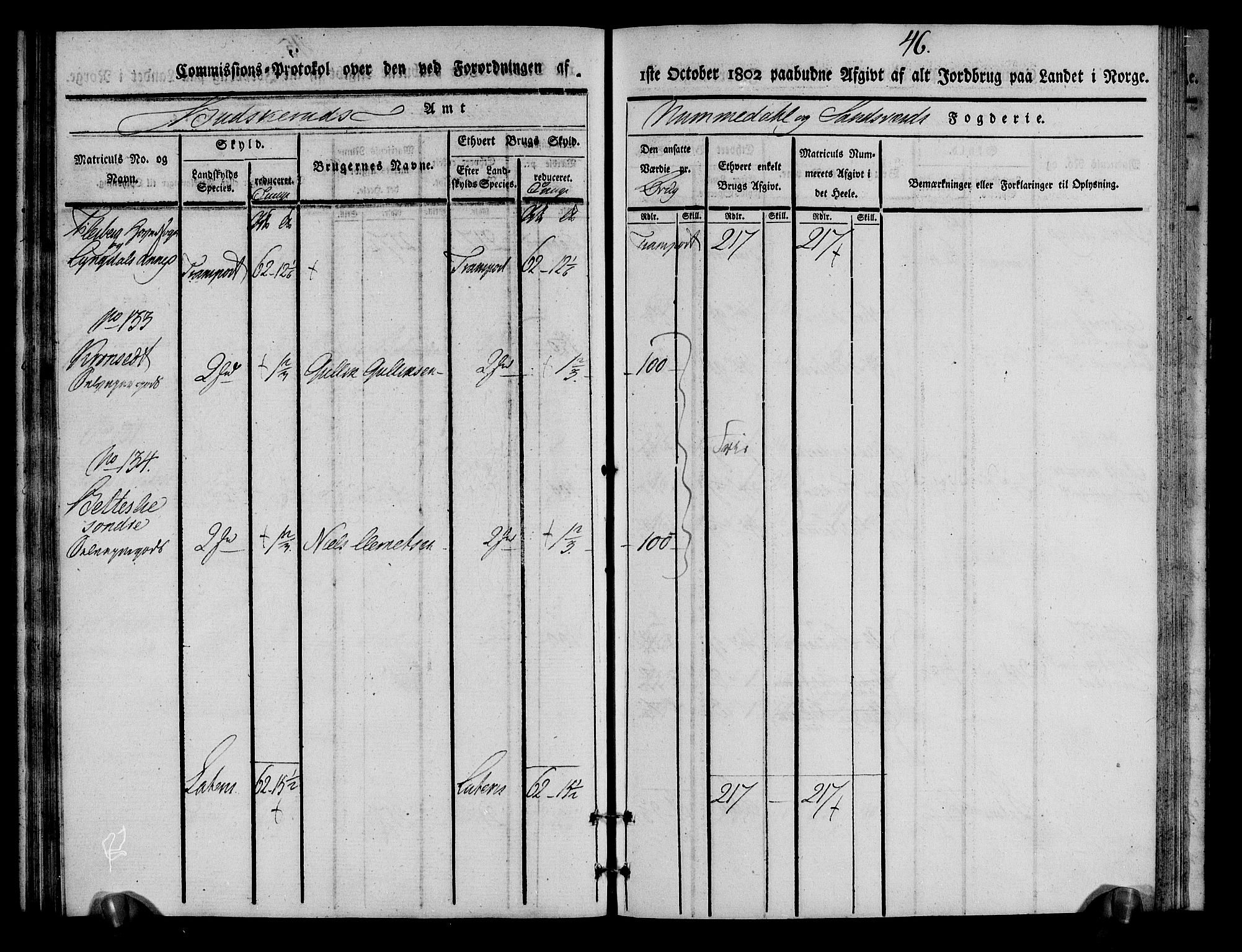 Rentekammeret inntil 1814, Realistisk ordnet avdeling, AV/RA-EA-4070/N/Ne/Nea/L0055: Numedal og Sandsvær fogderi. Kommisjonsprotokoll for Flesberg prestegjeld, 1803, p. 47