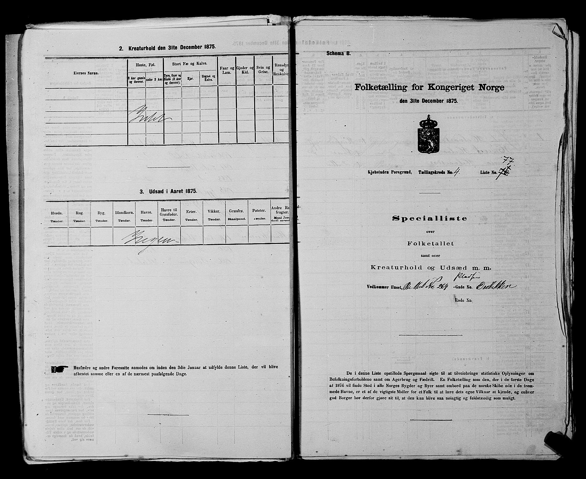 SAKO, 1875 census for 0805P Porsgrunn, 1875, p. 194