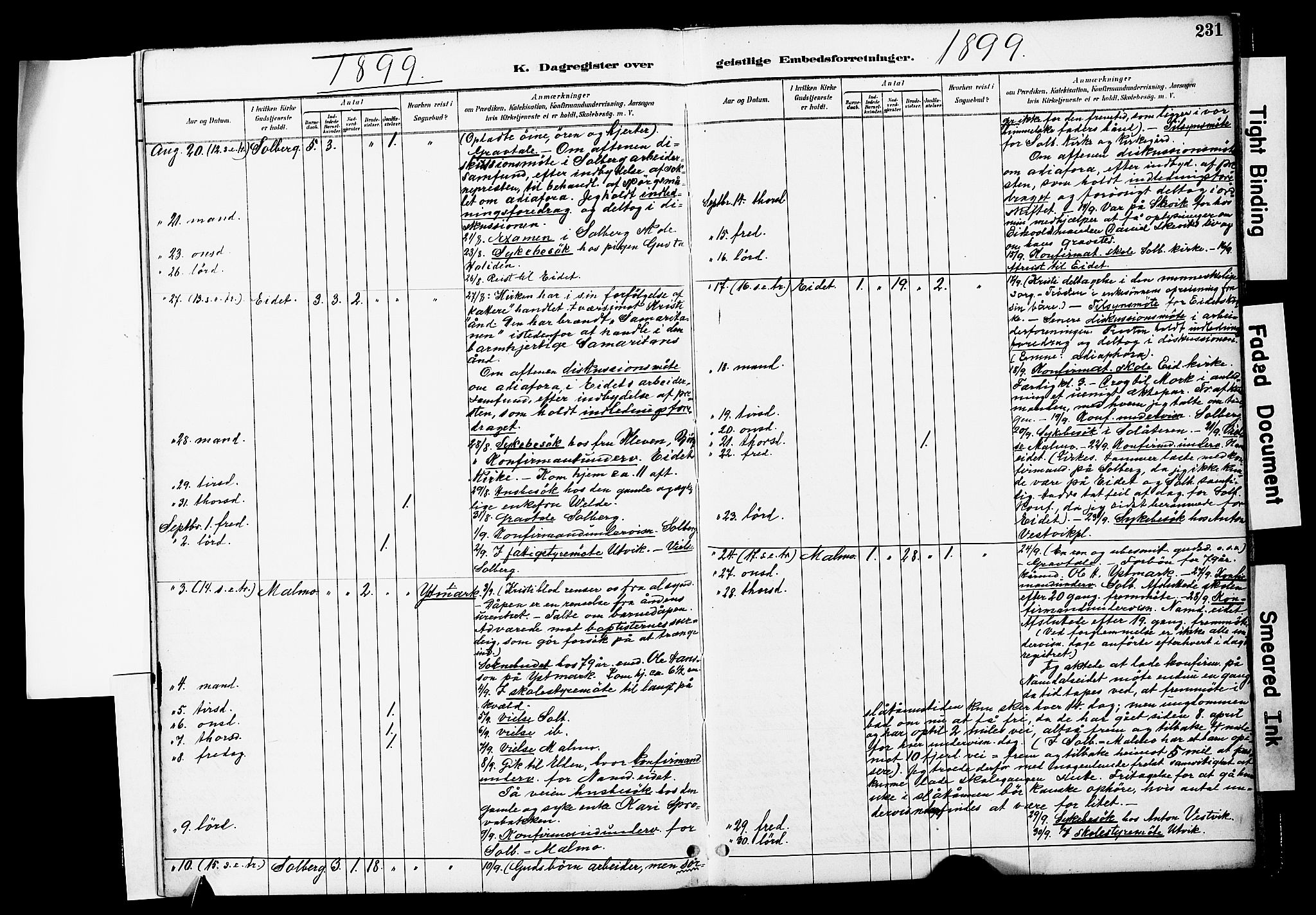Ministerialprotokoller, klokkerbøker og fødselsregistre - Nord-Trøndelag, AV/SAT-A-1458/741/L0396: Parish register (official) no. 741A10, 1889-1901, p. 231