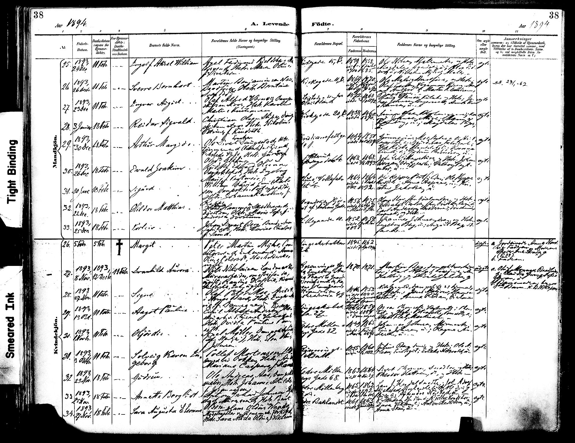 Ministerialprotokoller, klokkerbøker og fødselsregistre - Sør-Trøndelag, SAT/A-1456/604/L0197: Parish register (official) no. 604A18, 1893-1900, p. 38