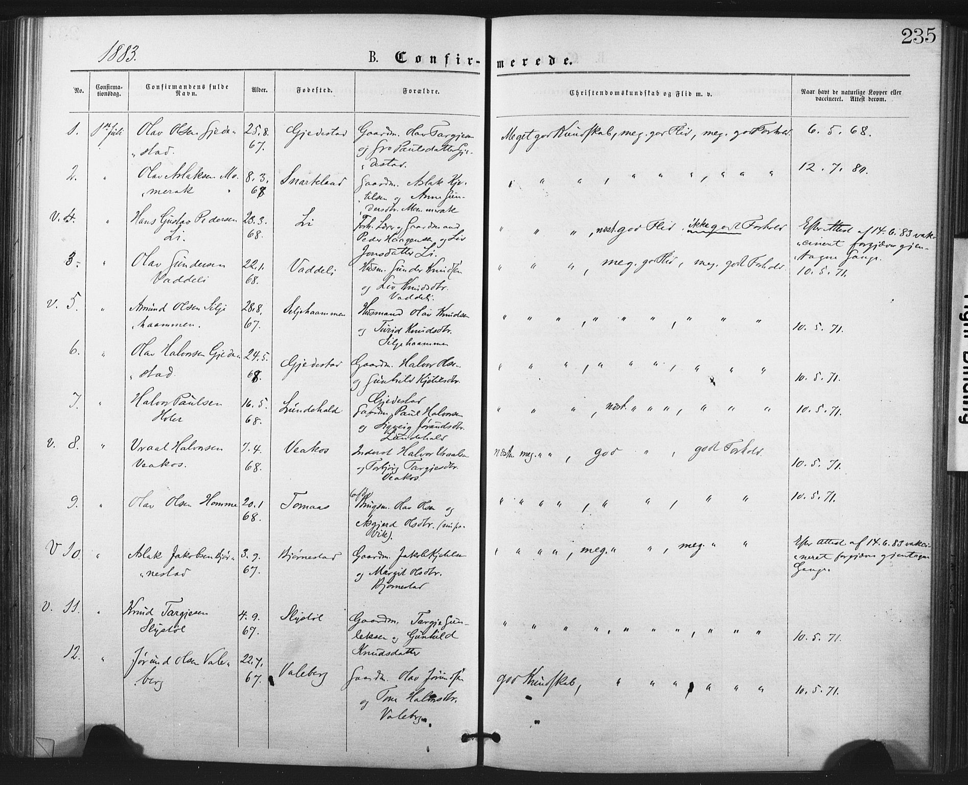 Fyresdal kirkebøker, SAKO/A-263/F/Fa/L0006: Parish register (official) no. I 6, 1872-1886, p. 235