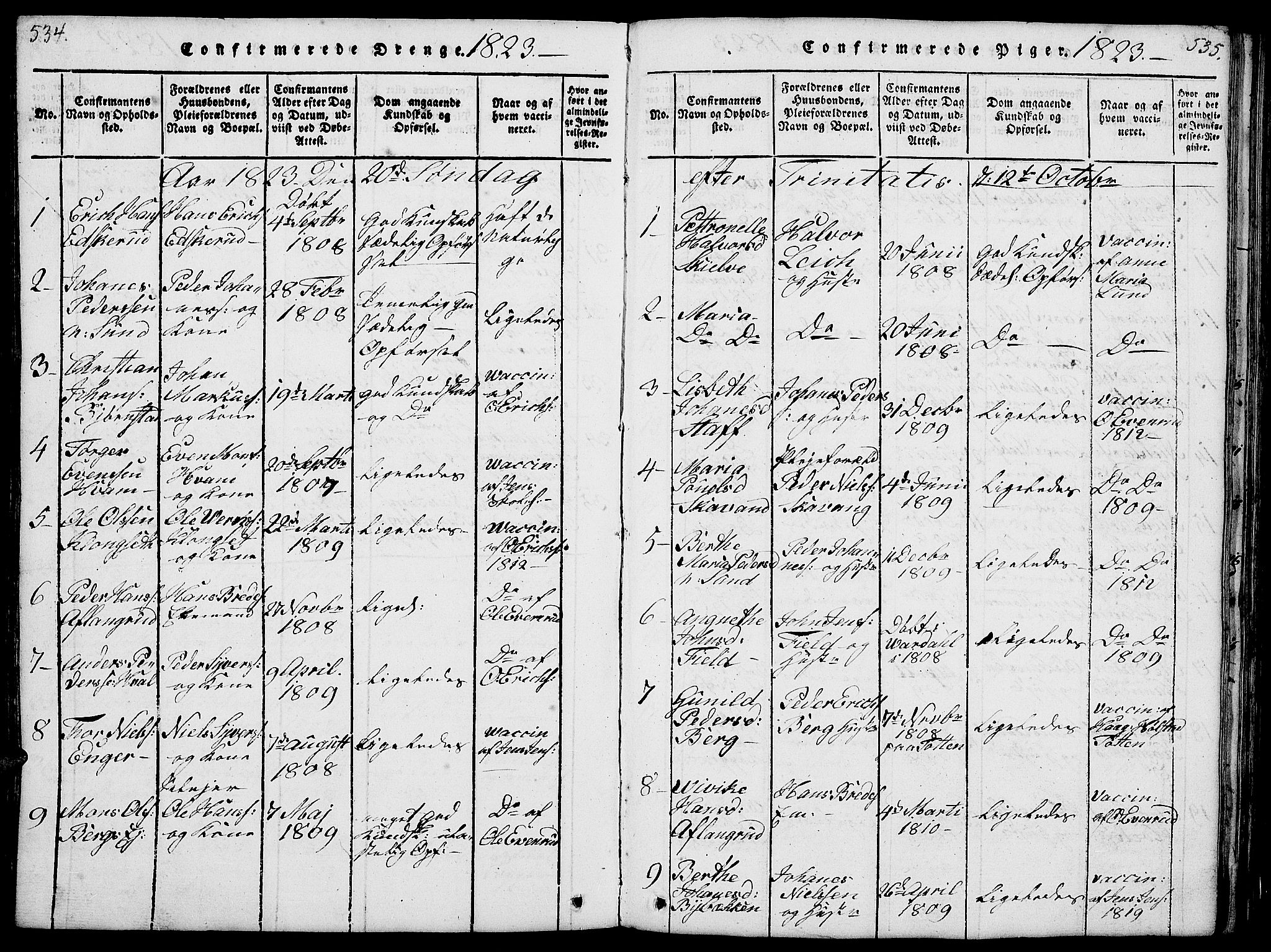 Nes prestekontor, Hedmark, AV/SAH-PREST-020/L/La/L0003: Parish register (copy) no. 3, 1814-1831, p. 534-535