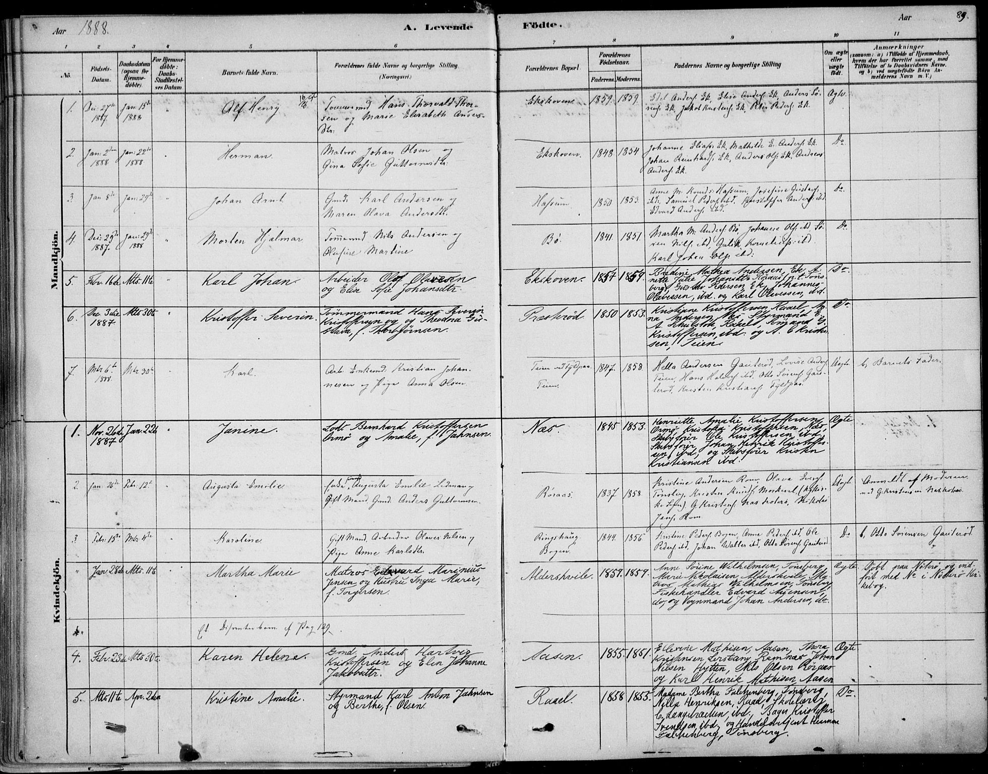 Sem kirkebøker, SAKO/A-5/F/Fb/L0004: Parish register (official) no. II 4, 1878-1891, p. 89