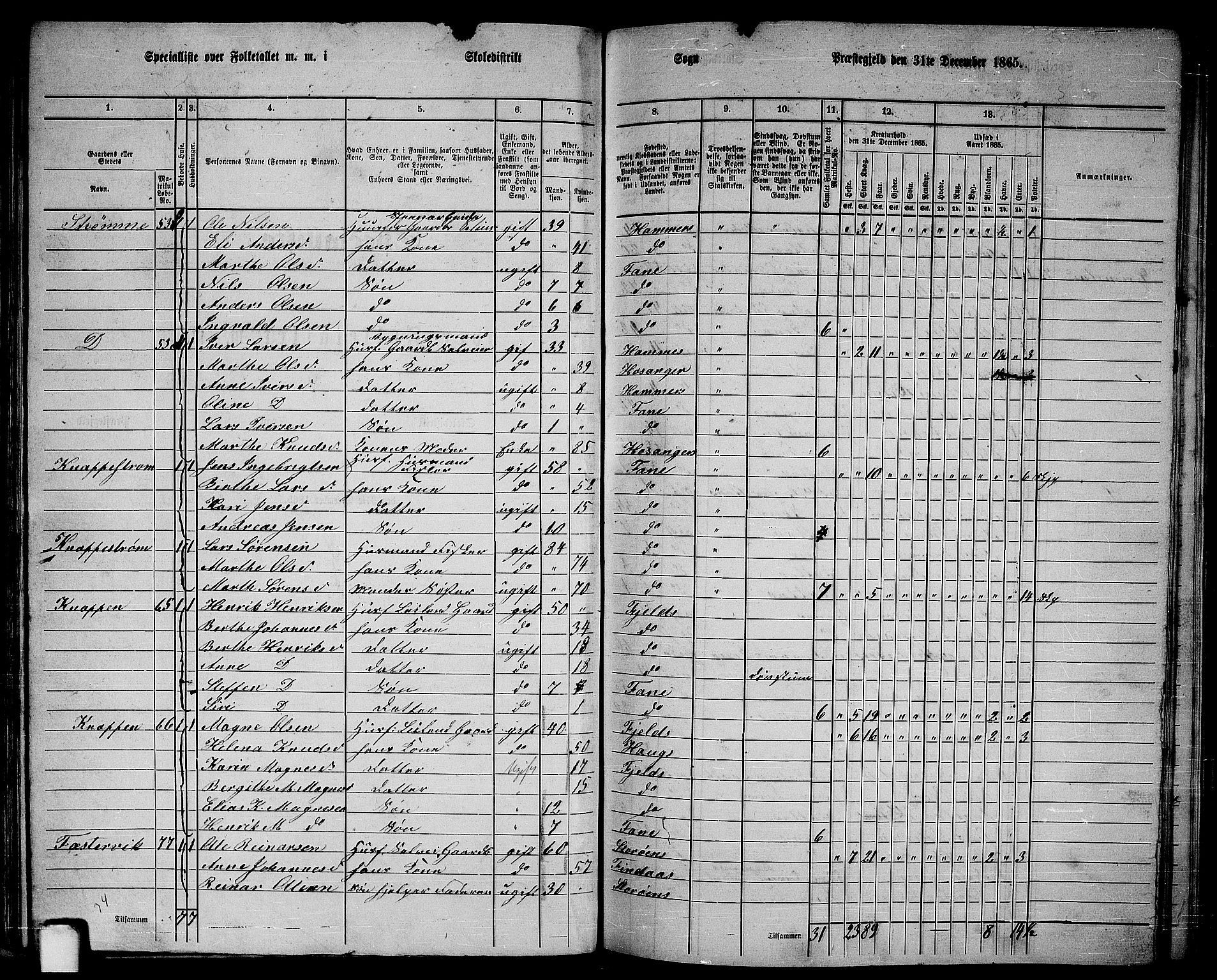 RA, 1865 census for Fana, 1865, p. 46