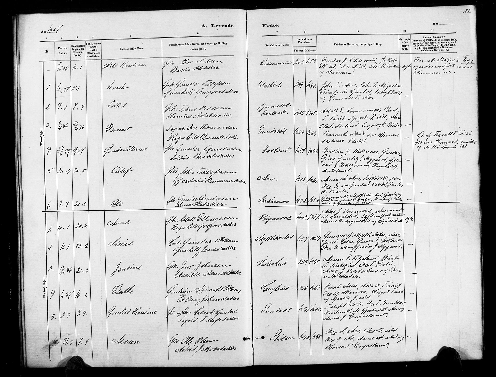 Herefoss sokneprestkontor, SAK/1111-0019/F/Fb/Fbb/L0002: Parish register (copy) no. B 2, 1879-1894, p. 22
