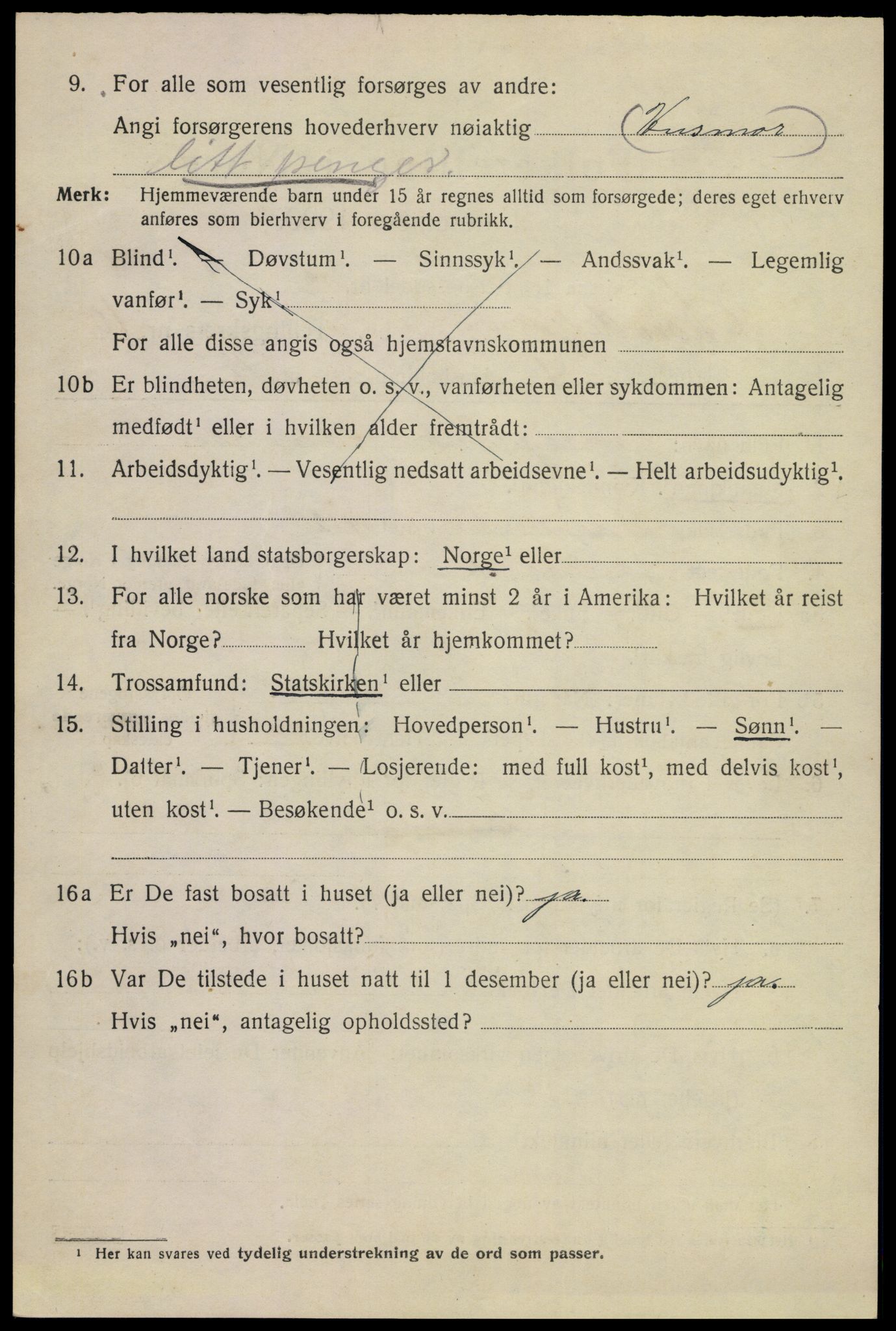 SAKO, 1920 census for Sandefjord, 1920, p. 14161