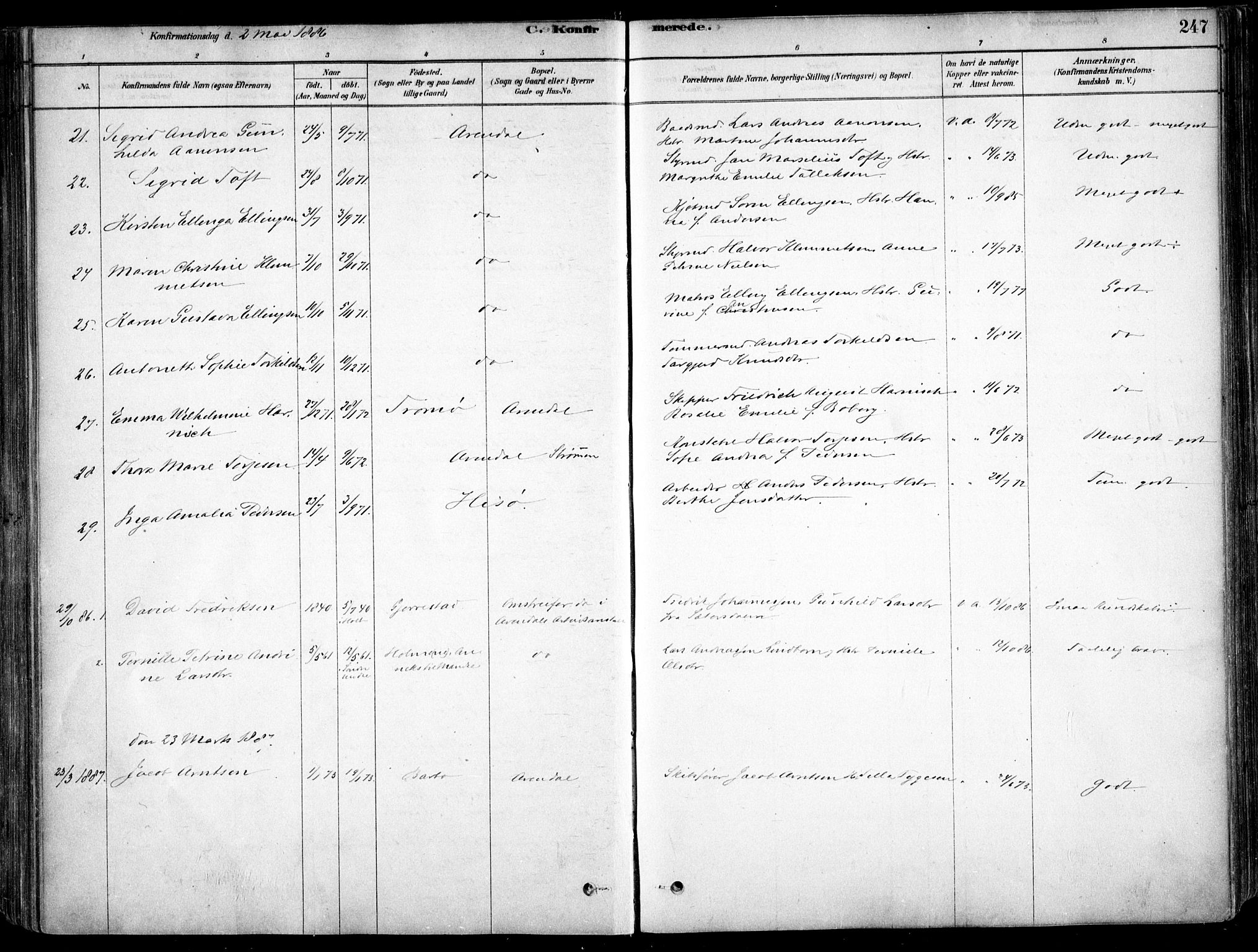 Arendal sokneprestkontor, Trefoldighet, AV/SAK-1111-0040/F/Fa/L0008: Parish register (official) no. A 8, 1878-1899, p. 247