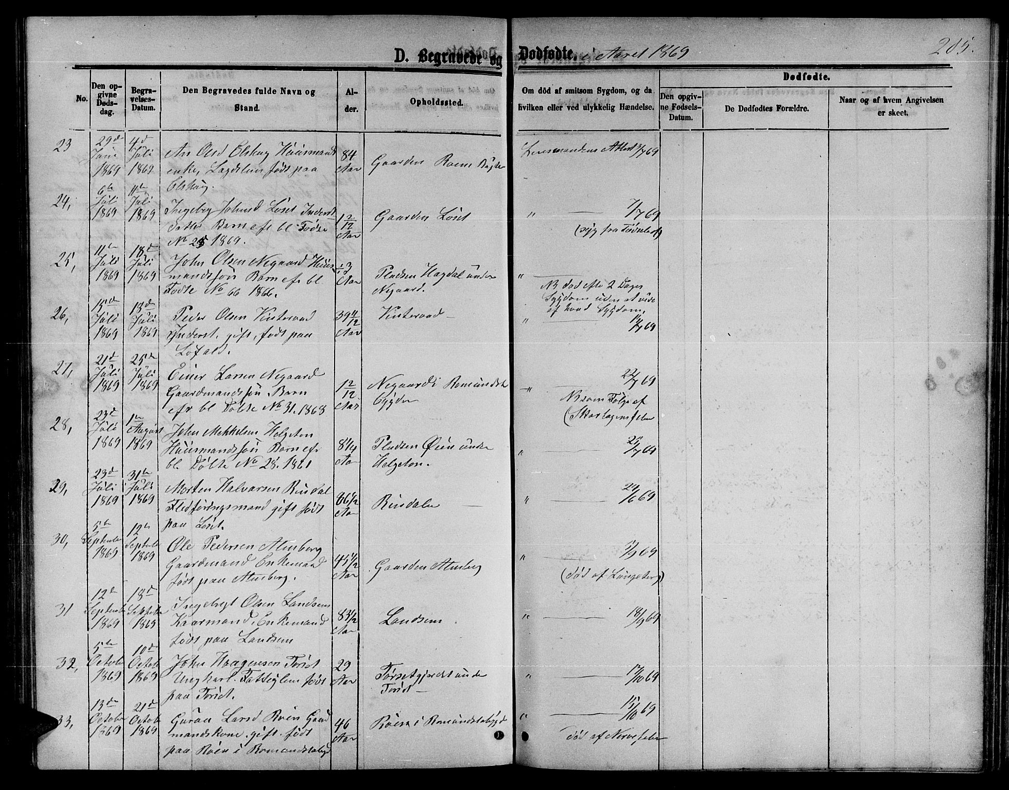 Ministerialprotokoller, klokkerbøker og fødselsregistre - Møre og Romsdal, AV/SAT-A-1454/598/L1076: Parish register (copy) no. 598C01, 1867-1878, p. 205