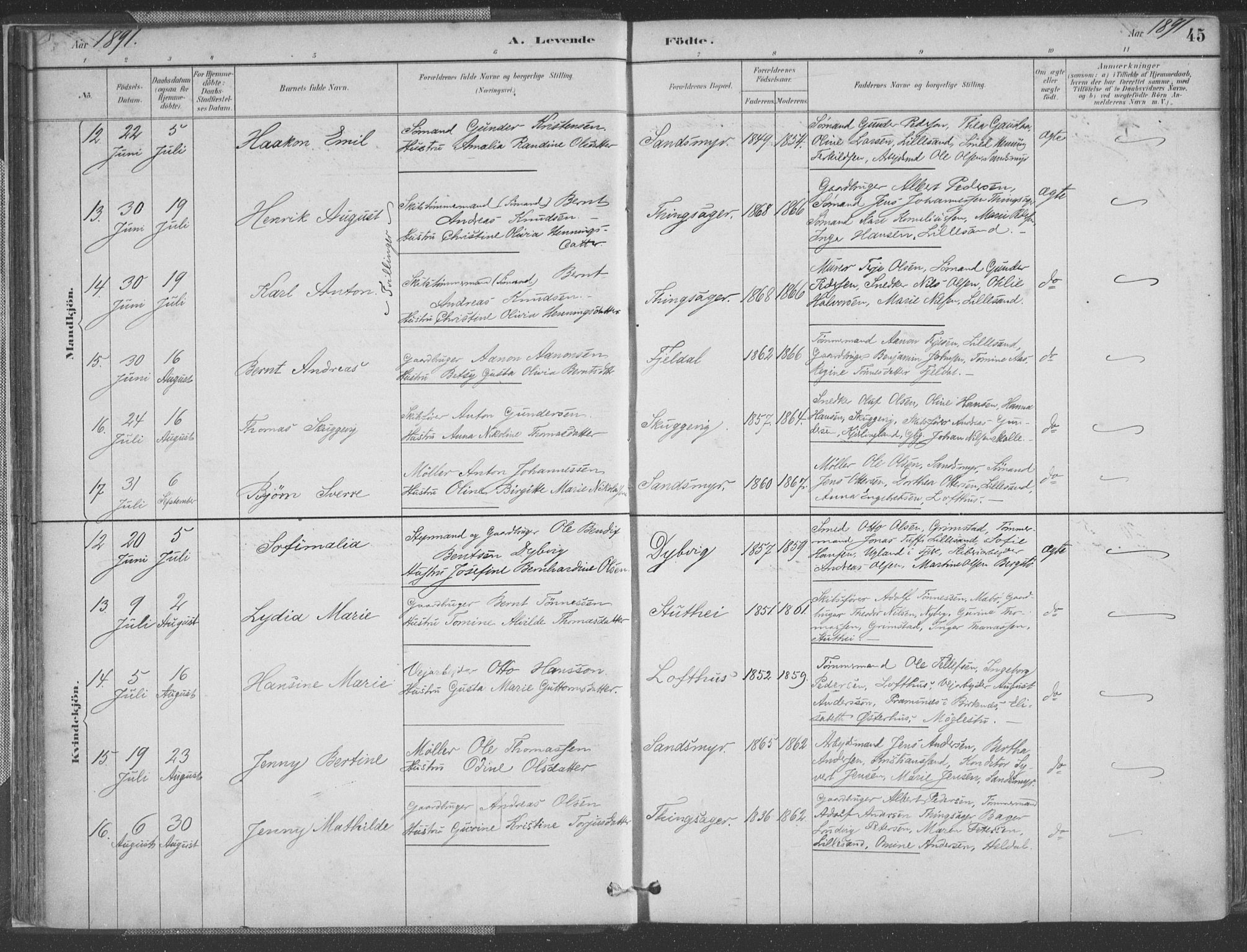 Vestre Moland sokneprestkontor, SAK/1111-0046/F/Fa/Fab/L0009: Parish register (official) no. A 9, 1884-1899, p. 45