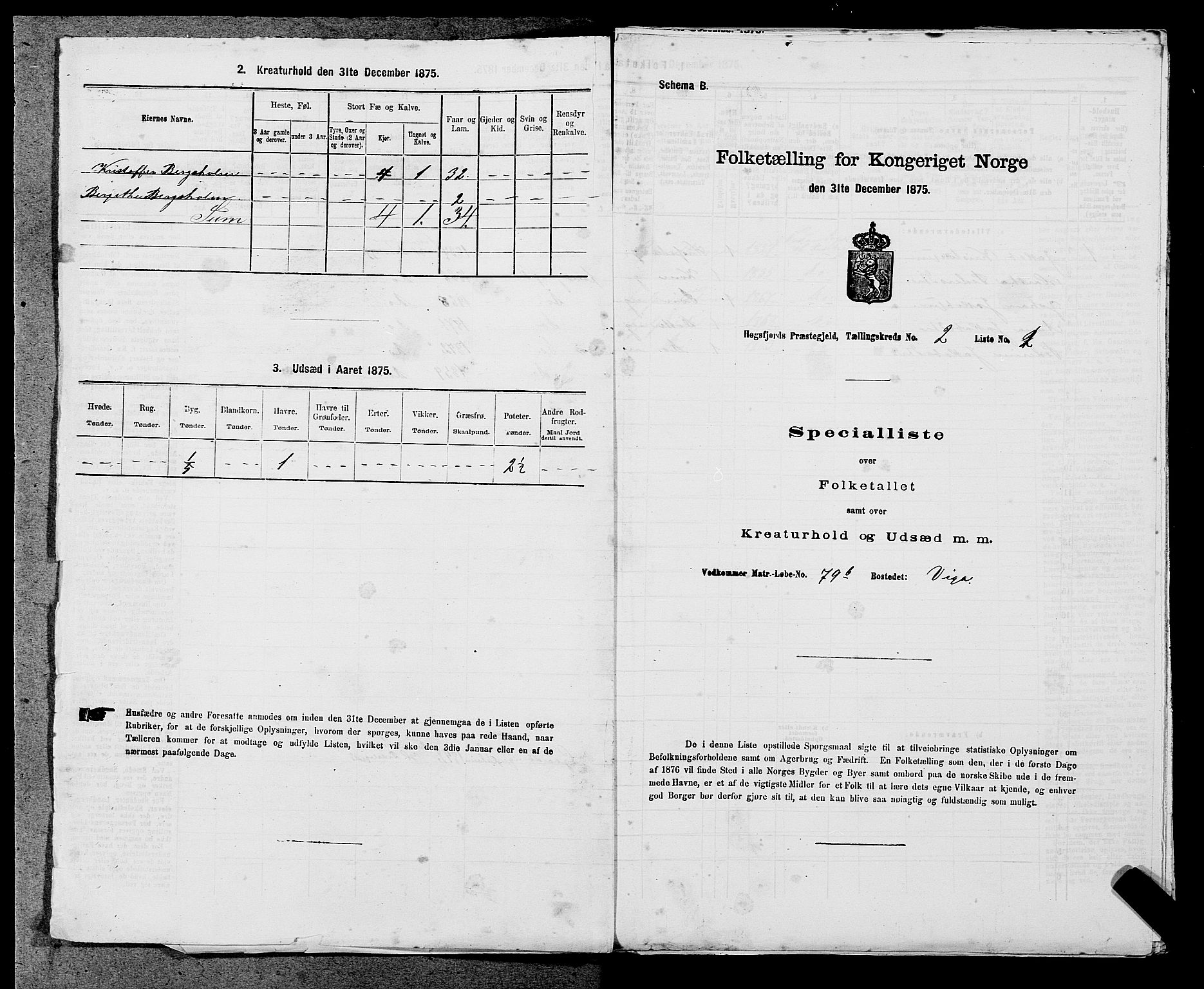 SAST, 1875 census for 1128P Høgsfjord, 1875, p. 168