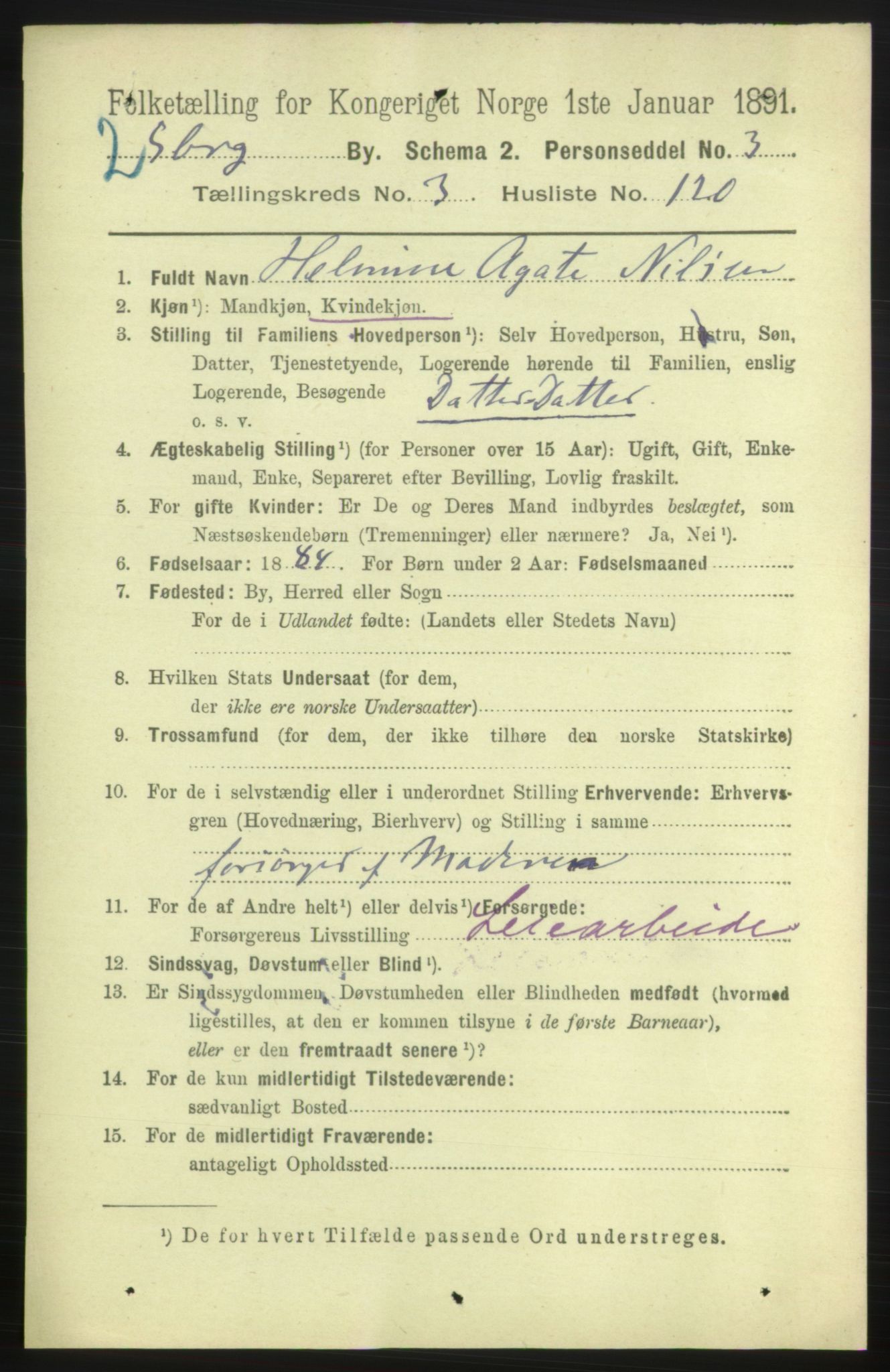 RA, 1891 census for 0102 Sarpsborg, 1891, p. 3675