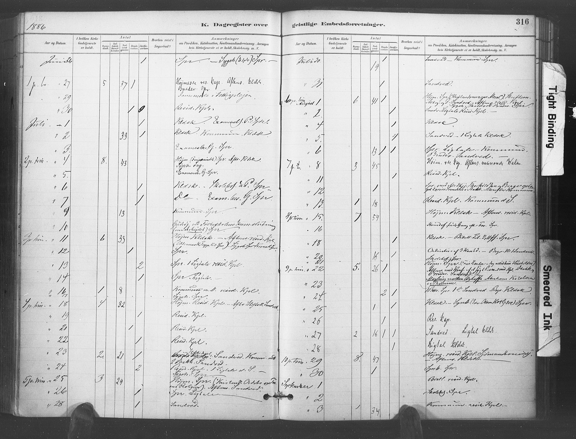 Kristiansand domprosti, AV/SAK-1112-0006/F/Fa/L0018: Parish register (official) no. A 17, 1880-1892, p. 316