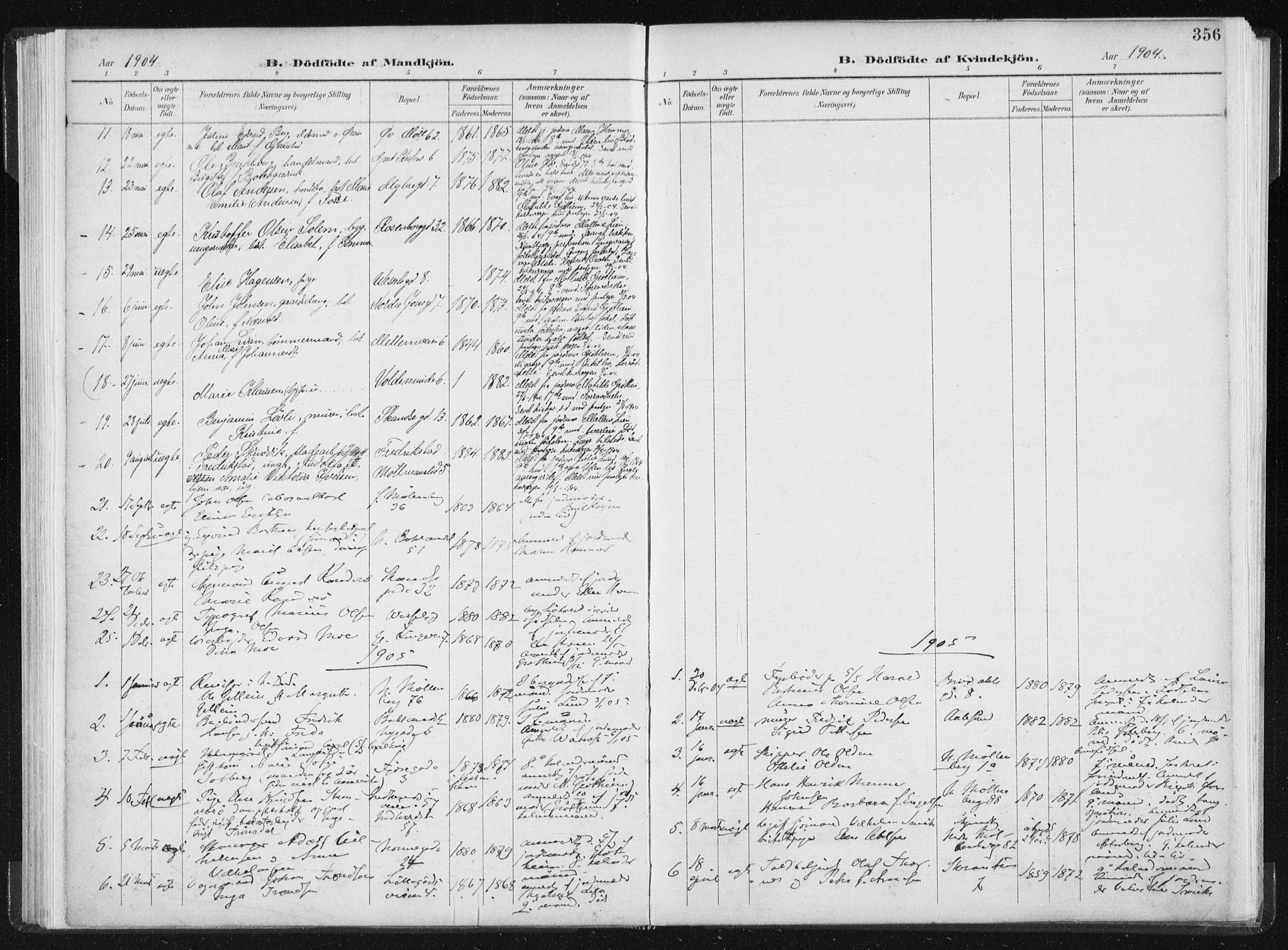 Ministerialprotokoller, klokkerbøker og fødselsregistre - Sør-Trøndelag, SAT/A-1456/604/L0200: Parish register (official) no. 604A20II, 1901-1908, p. 356
