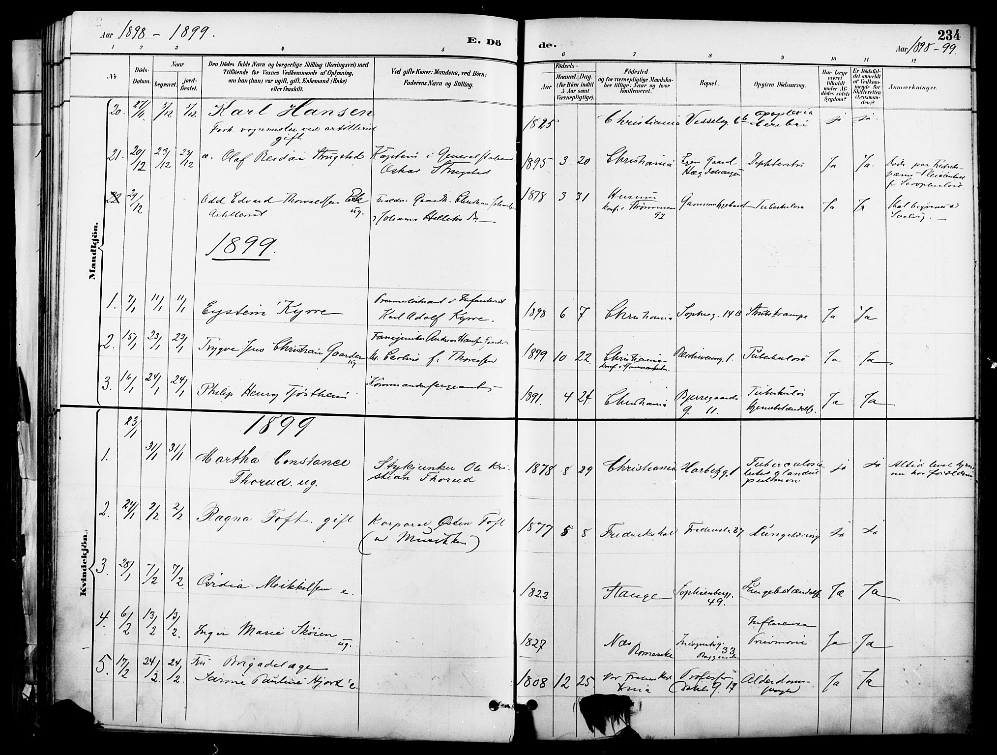Garnisonsmenigheten Kirkebøker, SAO/A-10846/F/Fa/L0013: Parish register (official) no. 13, 1894-1904, p. 234